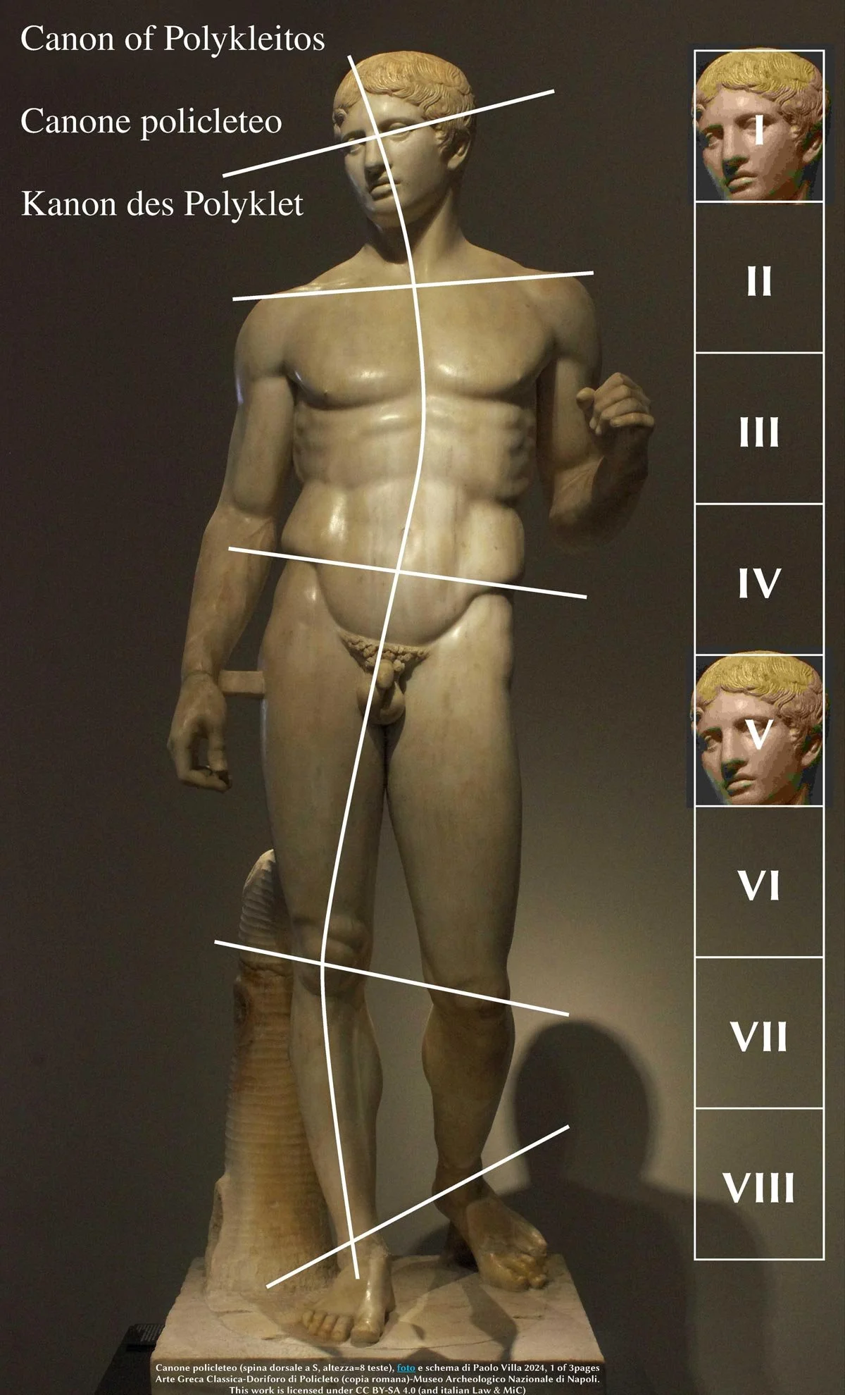 Diagram over a Doryphoros statue showing proportion lines and a numbered scale related to Polykleitos’ canon.