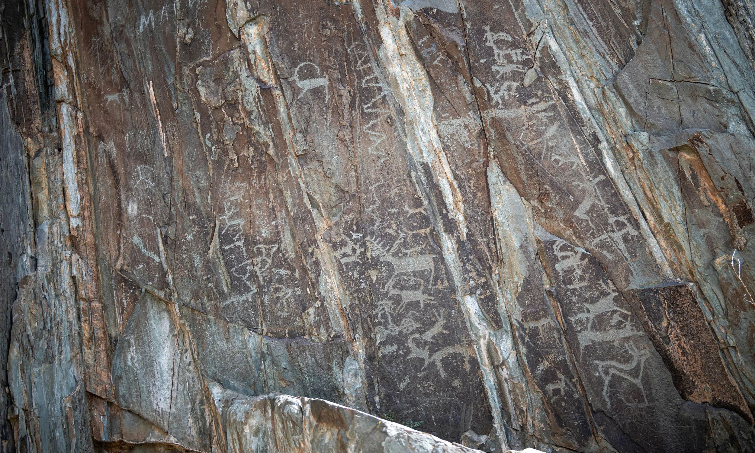 Rock Art: Prehistoric Marks That Changed Reality I The Art Newbie