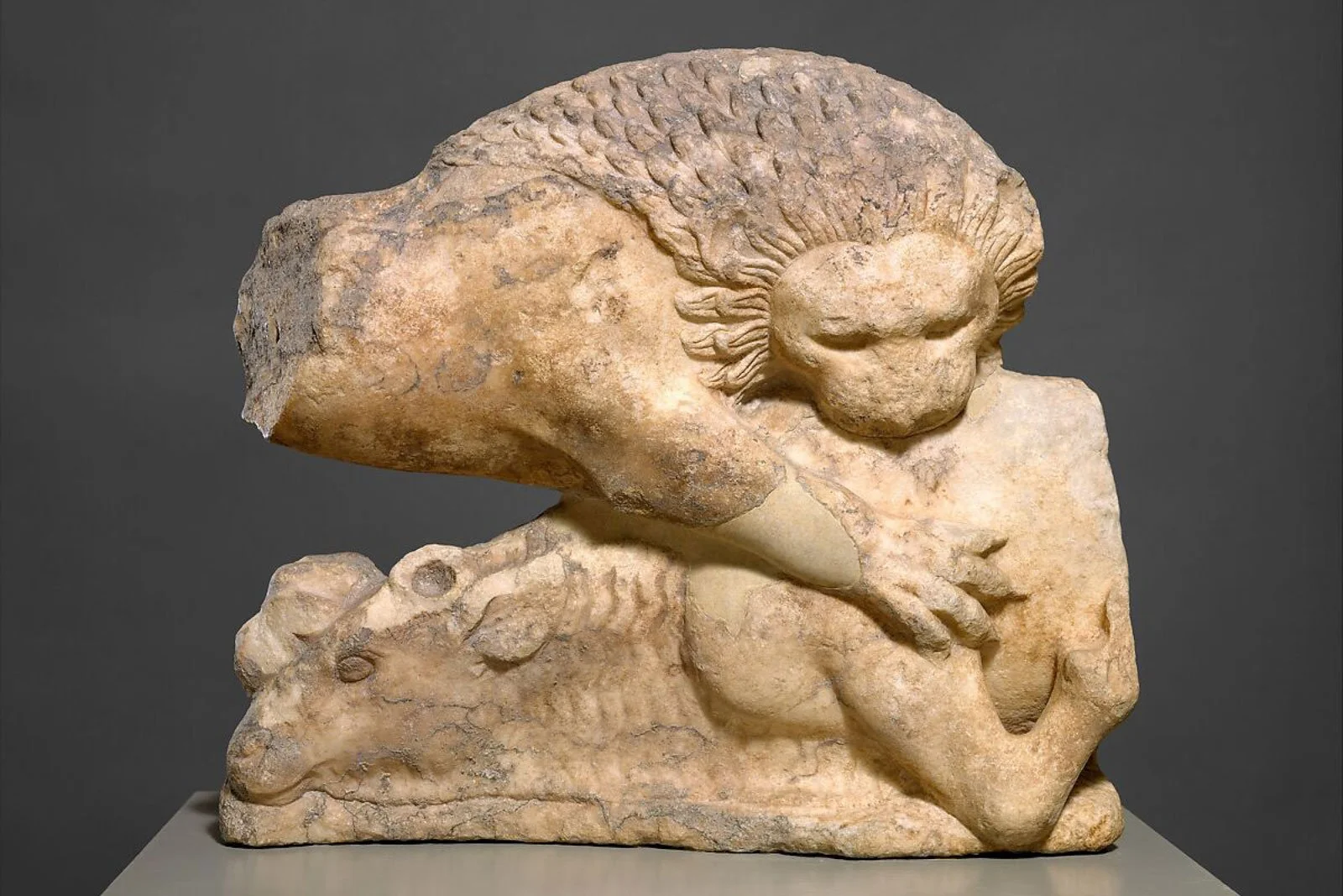Fragmentary marble sculpture of a lion pinning down a bull in a dramatic struggle.