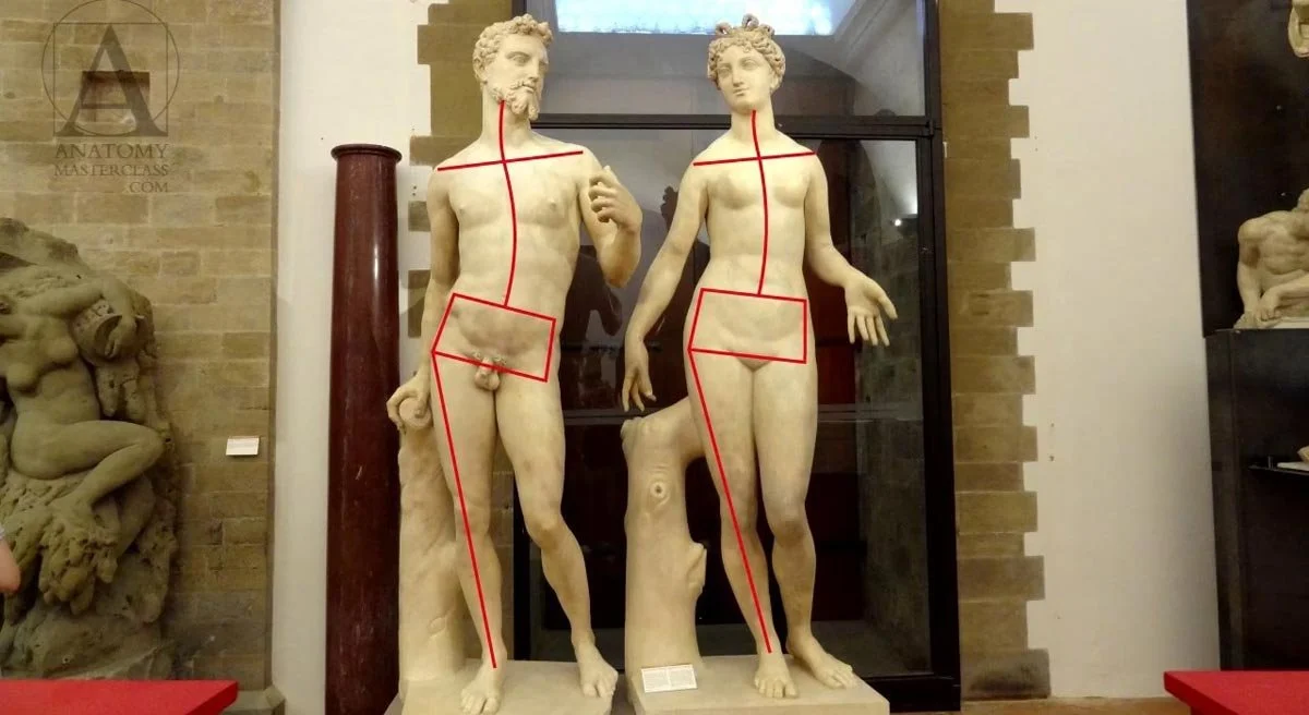 Two classical statues marked with red guide lines showing opposite tilt of shoulders and hips in contrapposto.