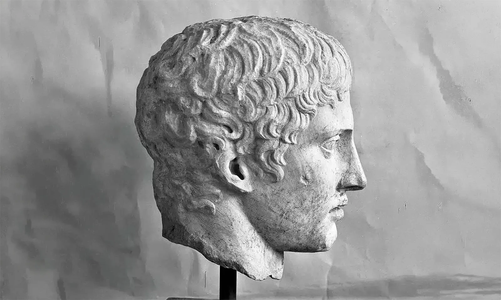 Profile view of a marble head of a young man with short, wavy hair.