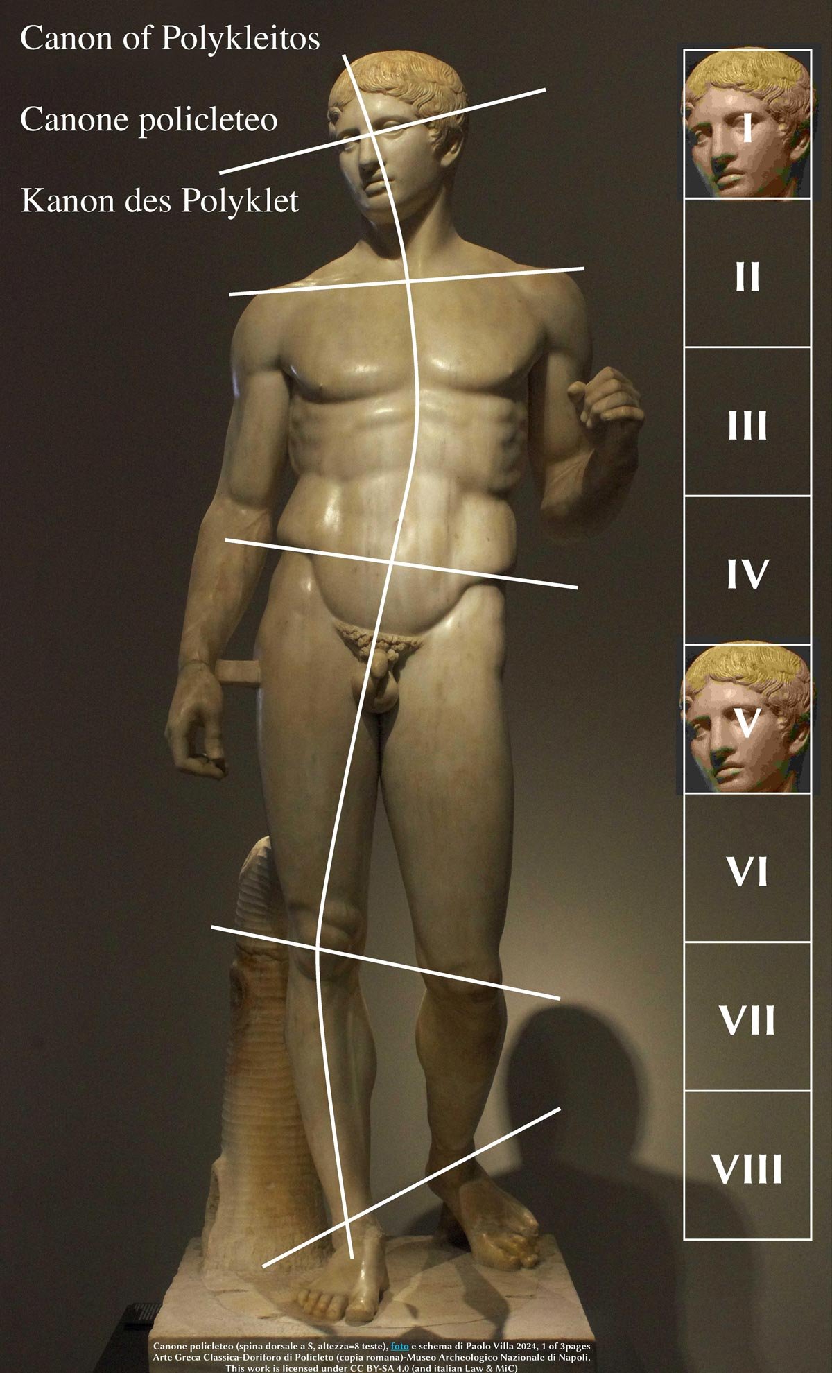 Diagram over a classical statue illustrating Polykleitos’ canon with proportion lines and a stepped scale.