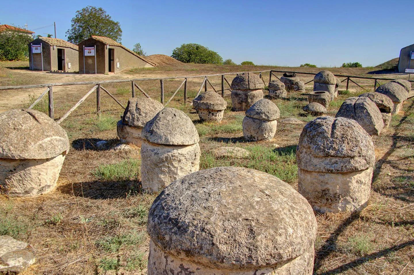 Open necropolis landscape at Tarquinia with tomb markers and burial mounds.