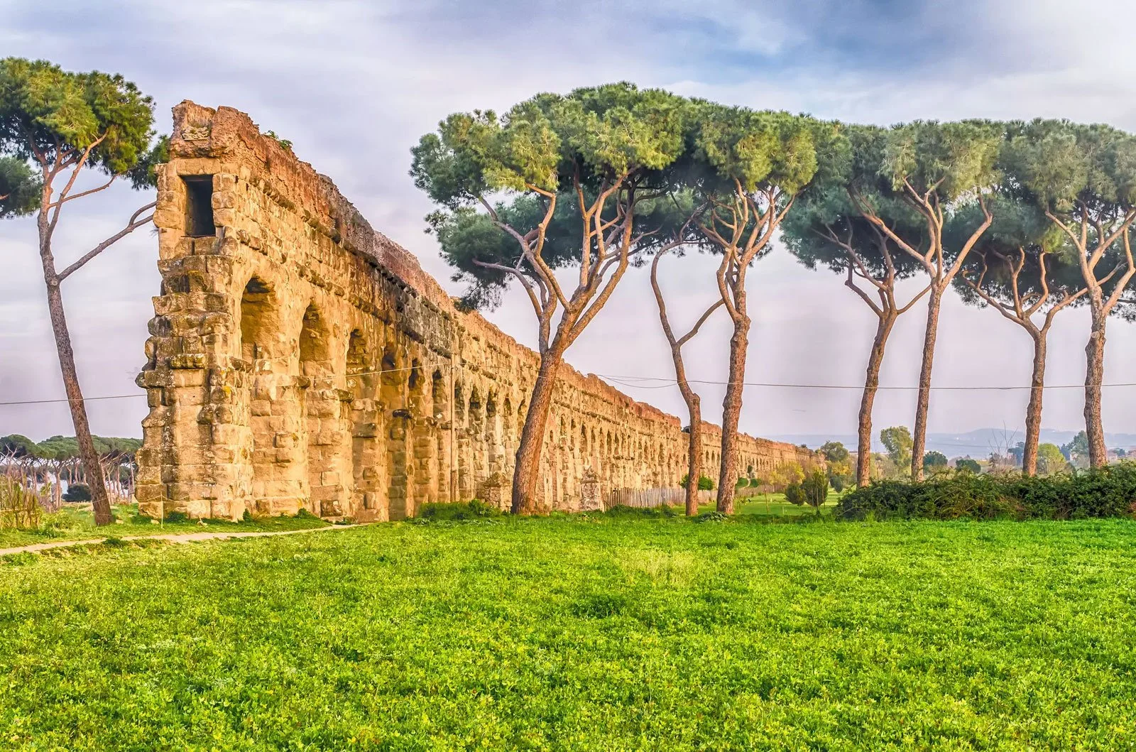 Long stretch of the Aqua Claudia aqueduct crossing a green landscape with umbrella pines nearby.