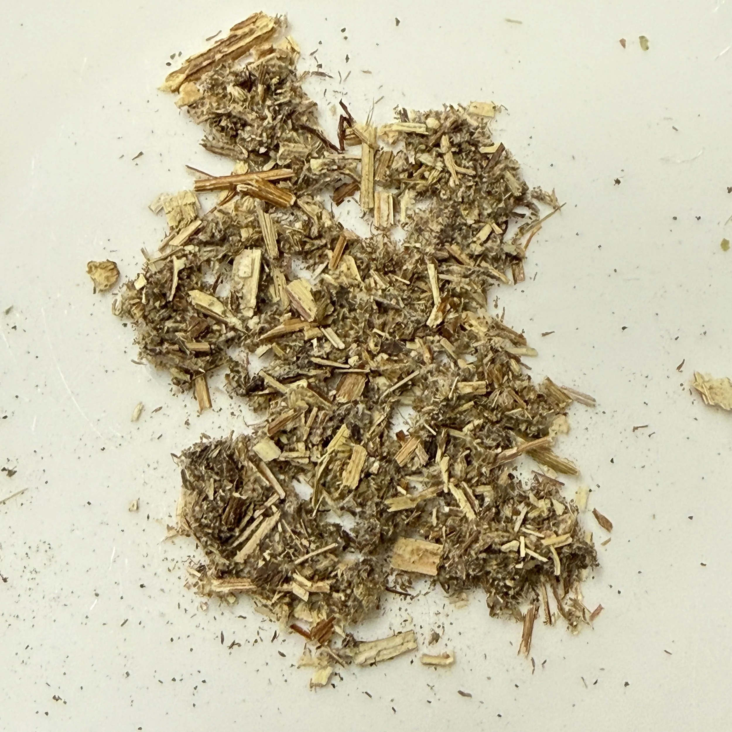 Mugwort