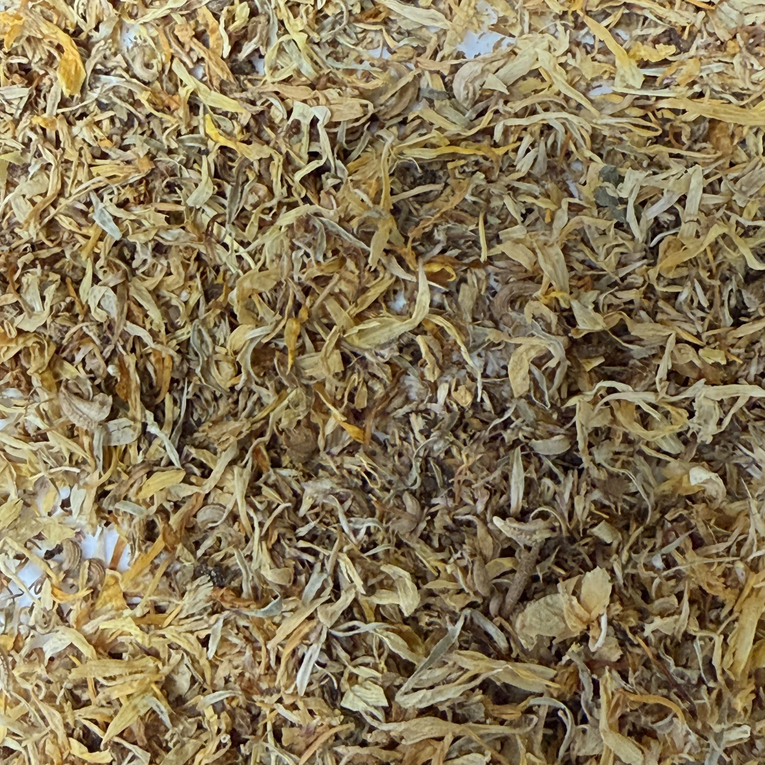 Calendula