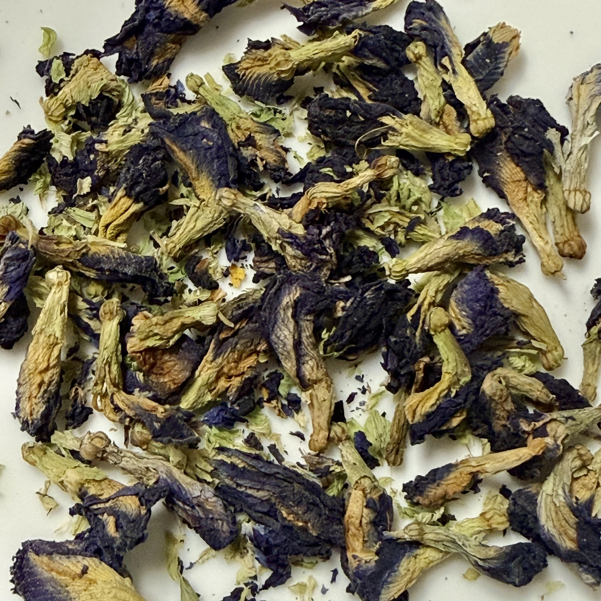 Butterfly Pea Flower