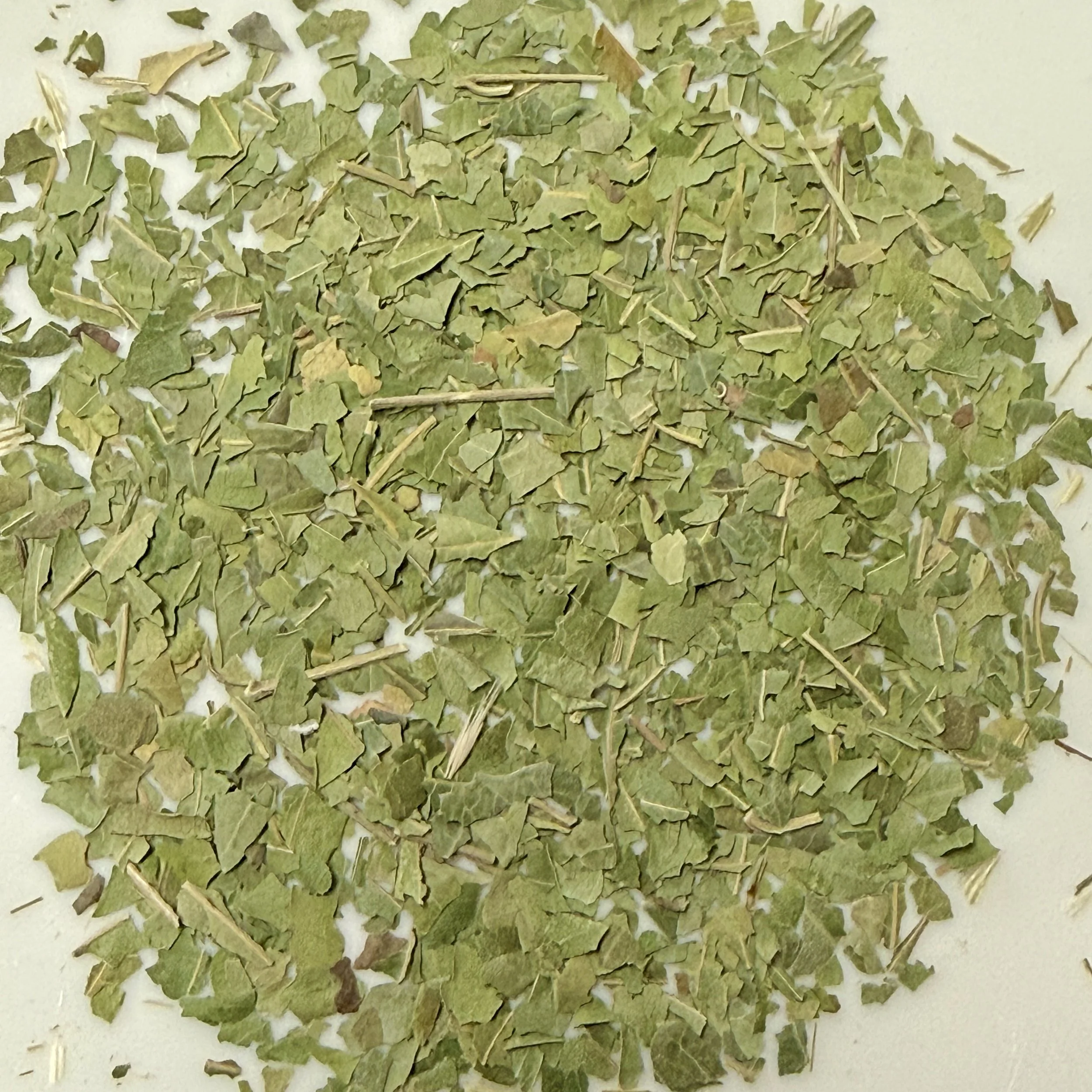 Neem Leaf