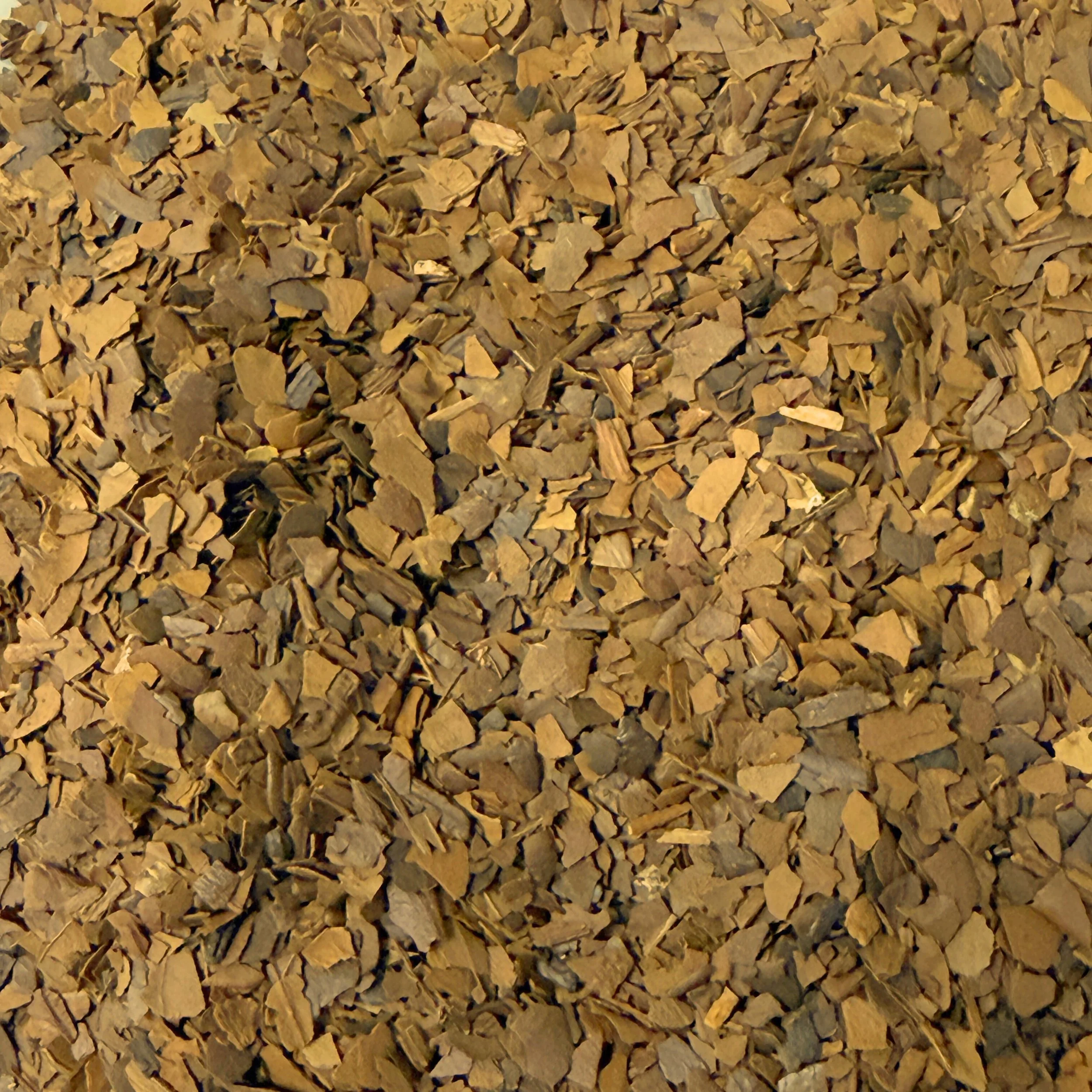 Toasted Mate - Edited.jpg