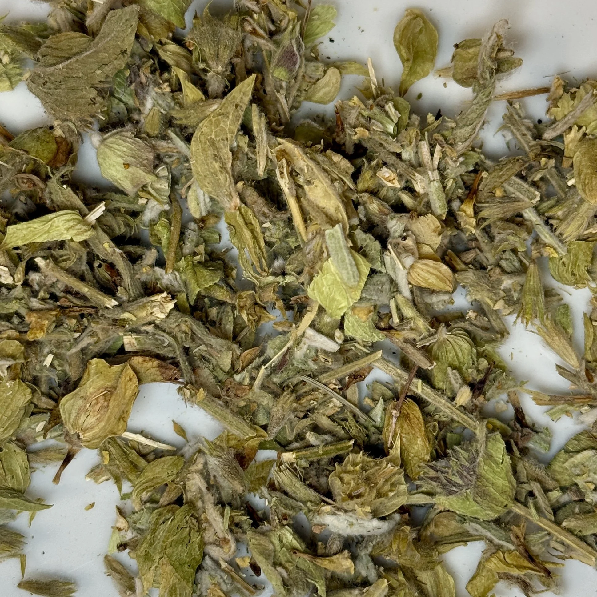 Greek Mountain Tea