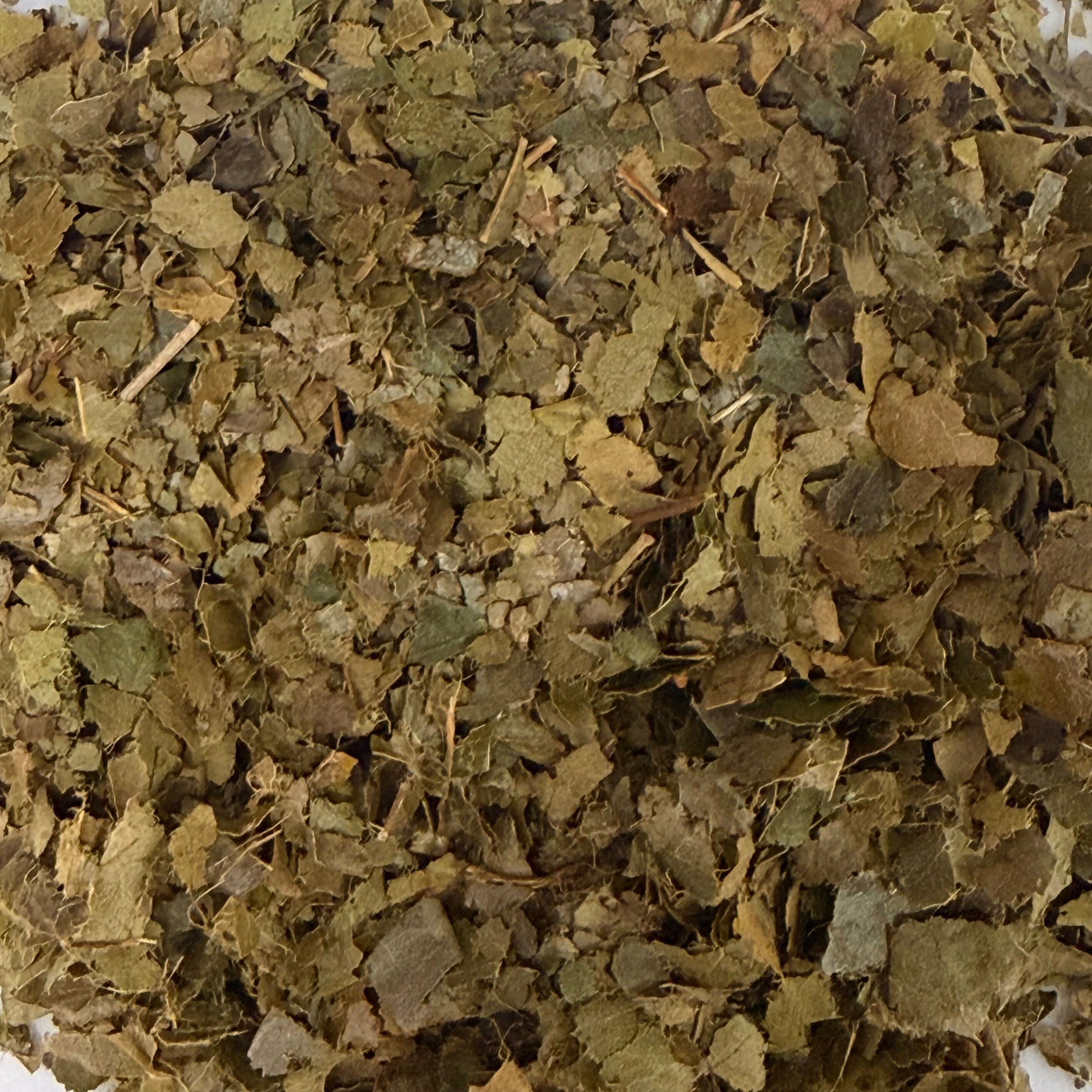 Sour Sop Leaf - Edited.jpg