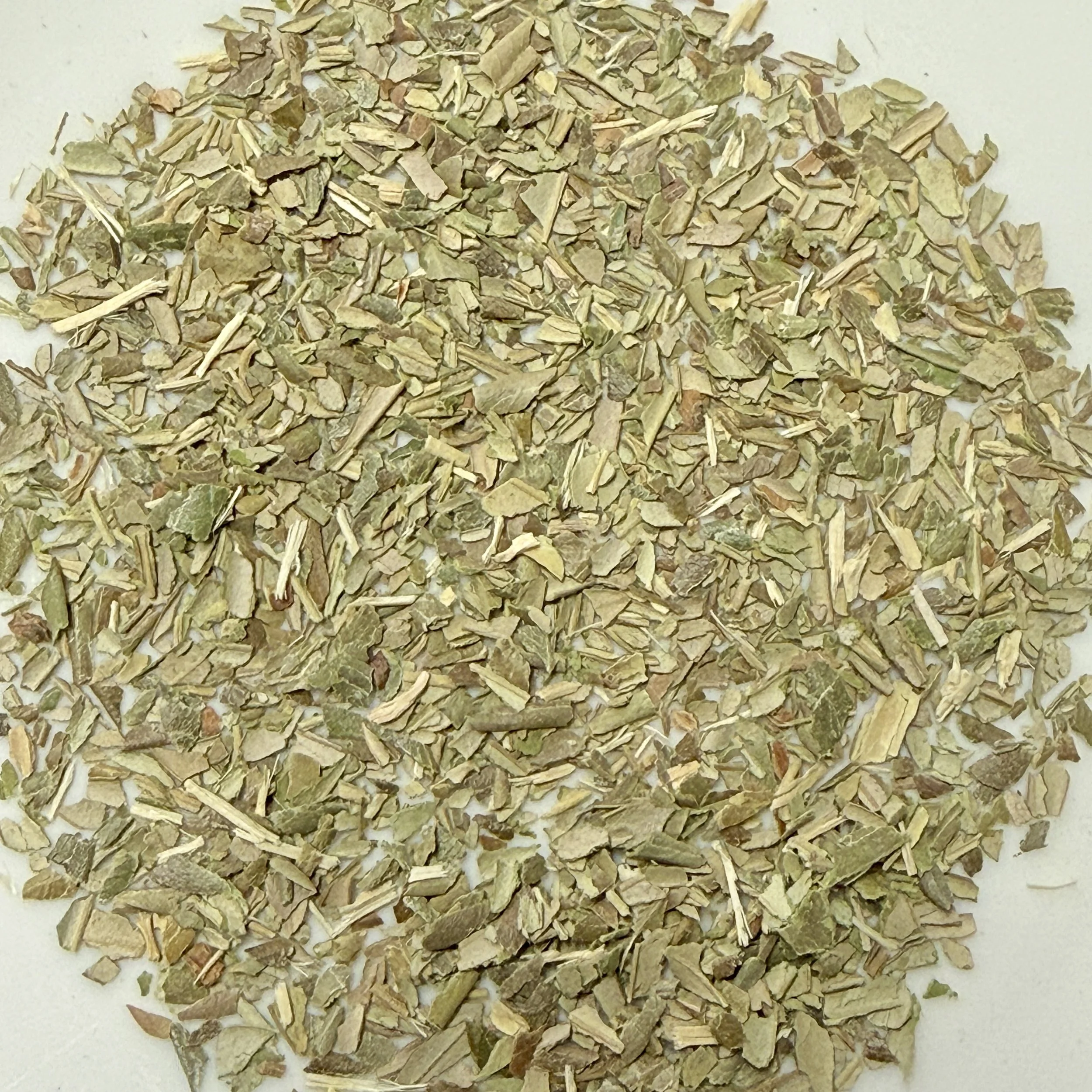 Olive Leaf
