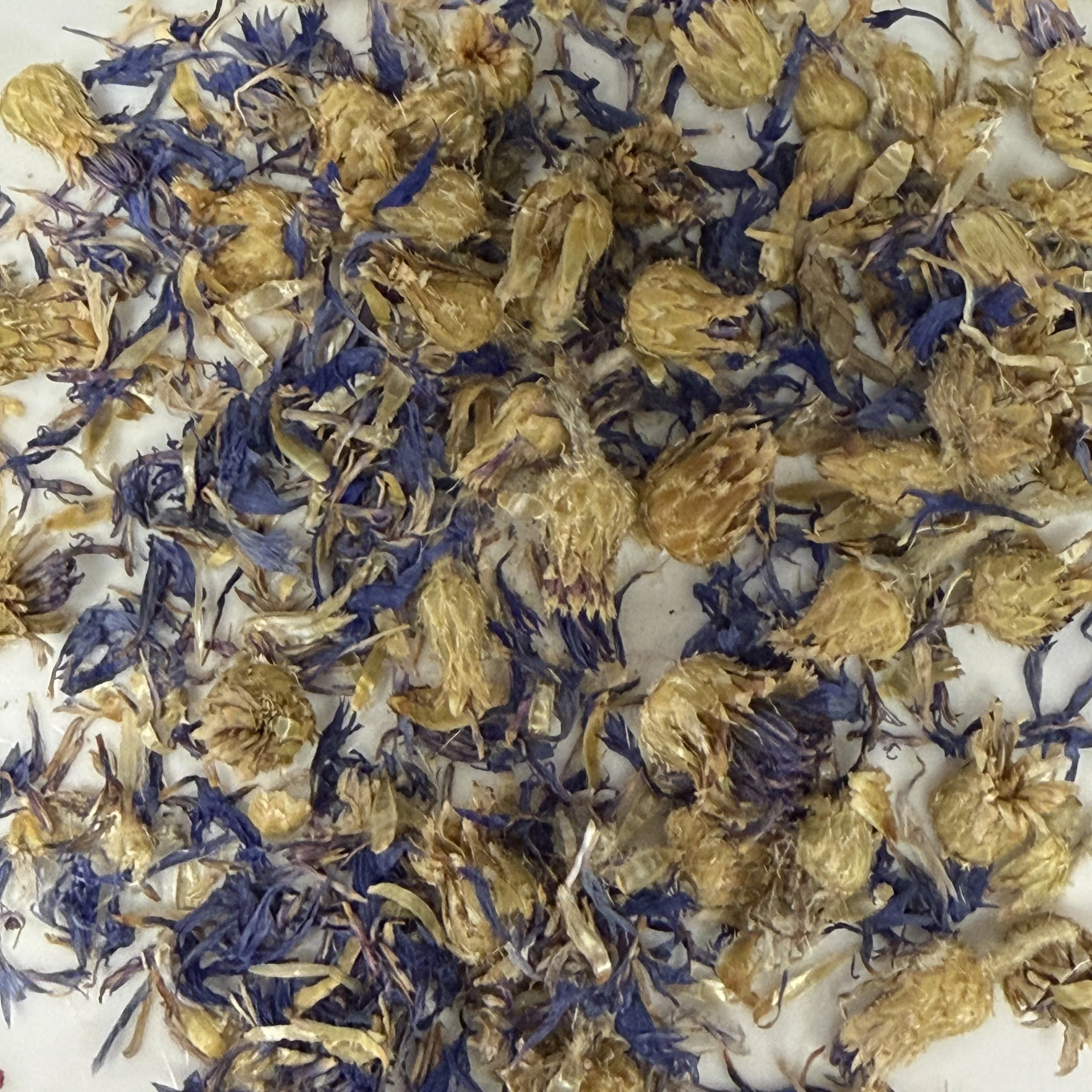 Blue Cornflowers
