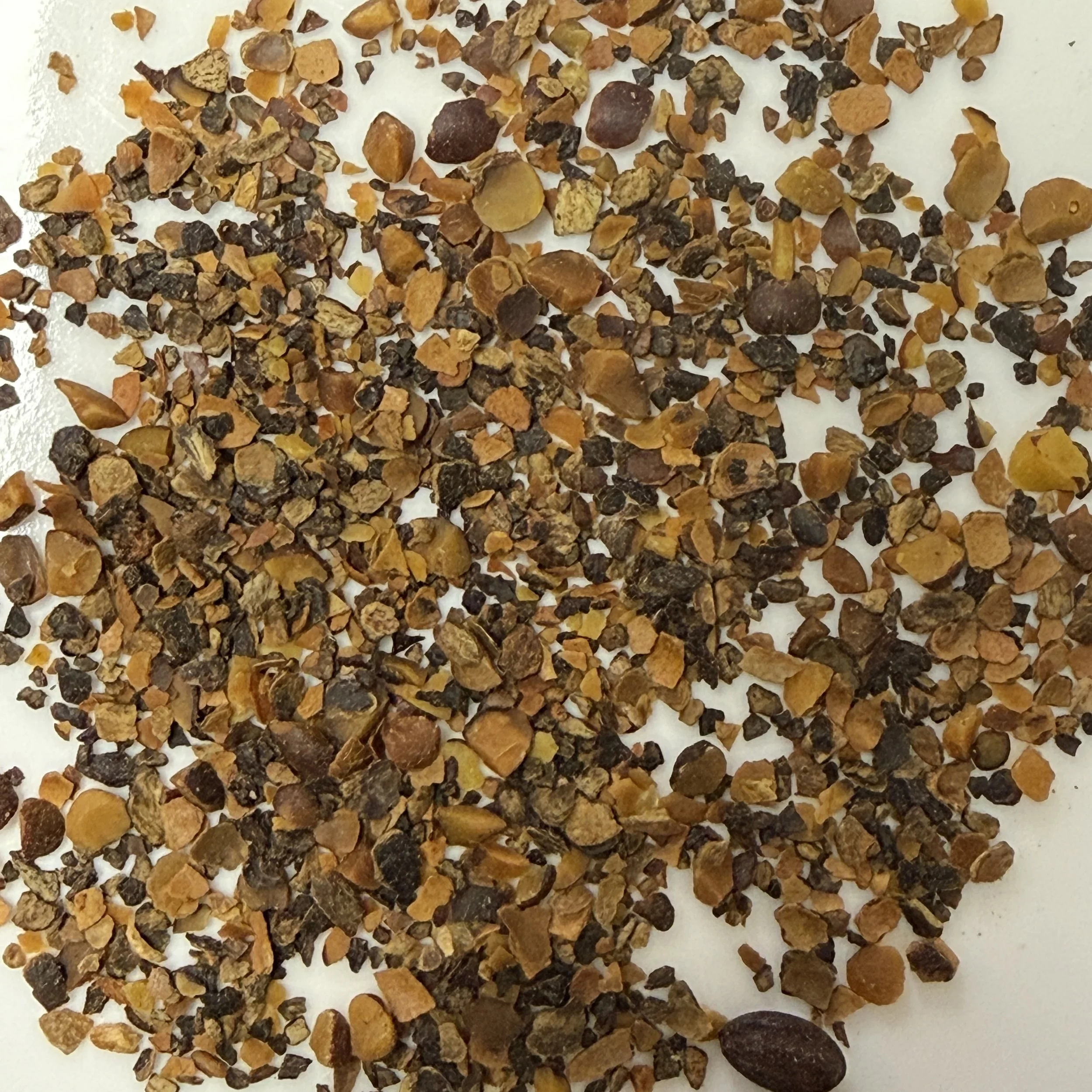 Saw Palmetto