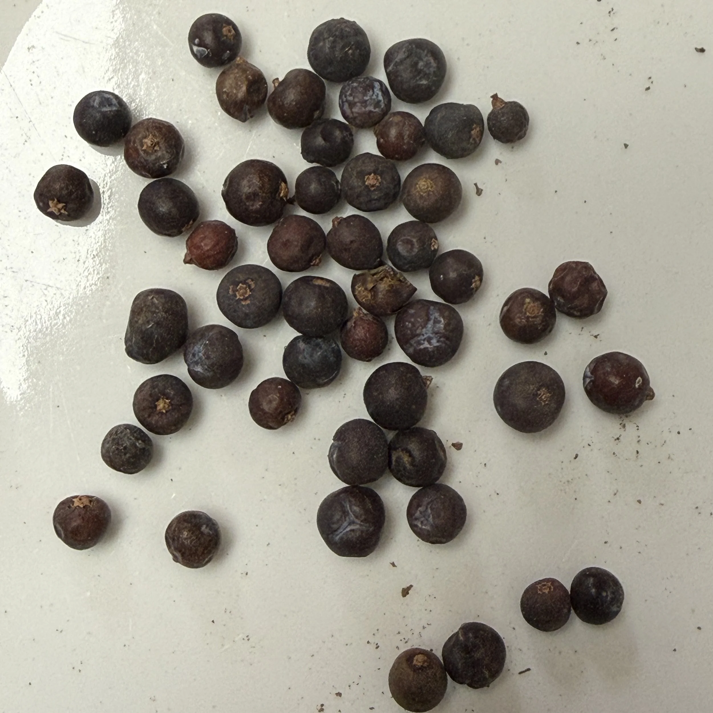 Juniper Berries