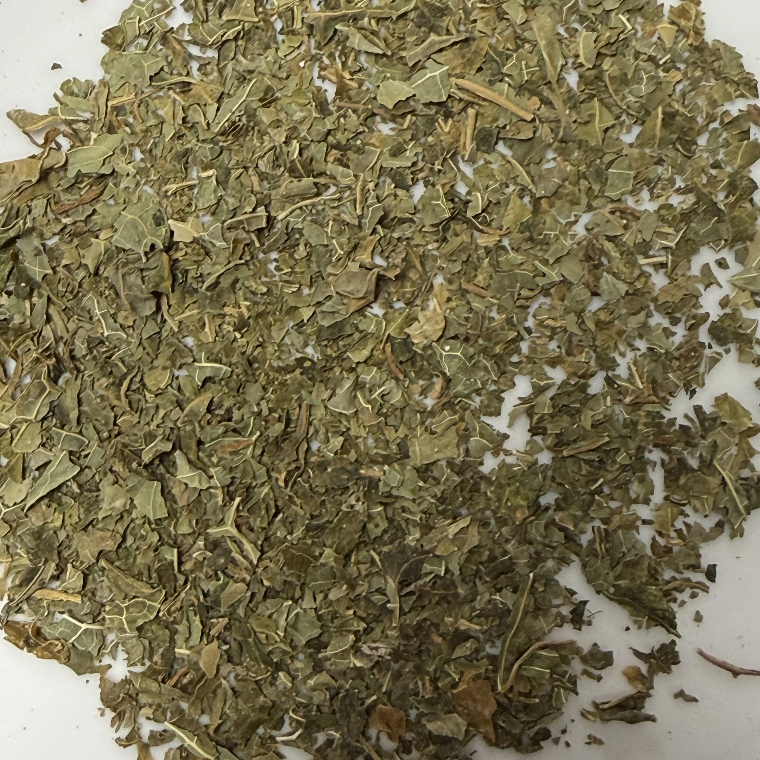 Papaya Leaf