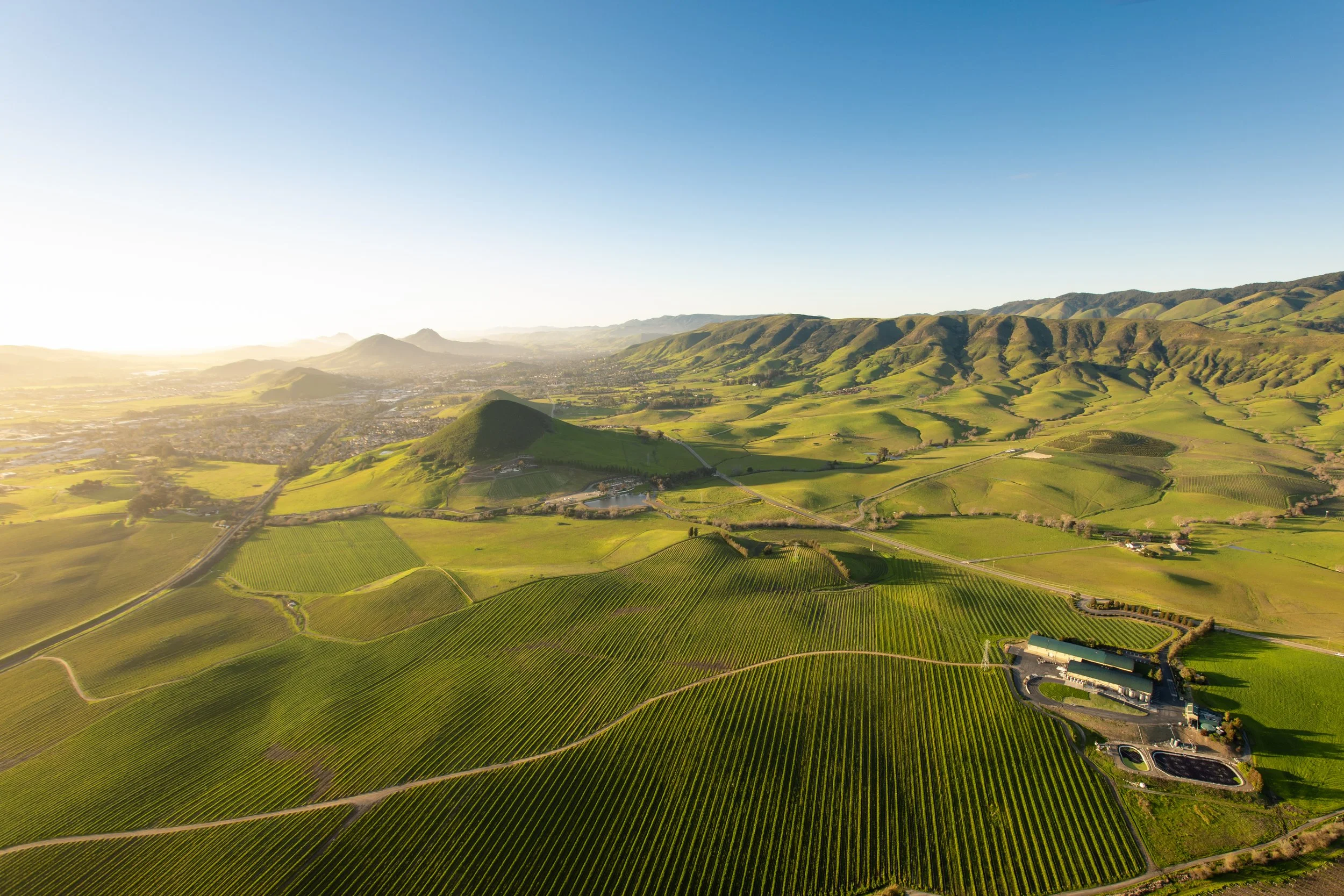 wineries and wine tasting in san luis obispo
