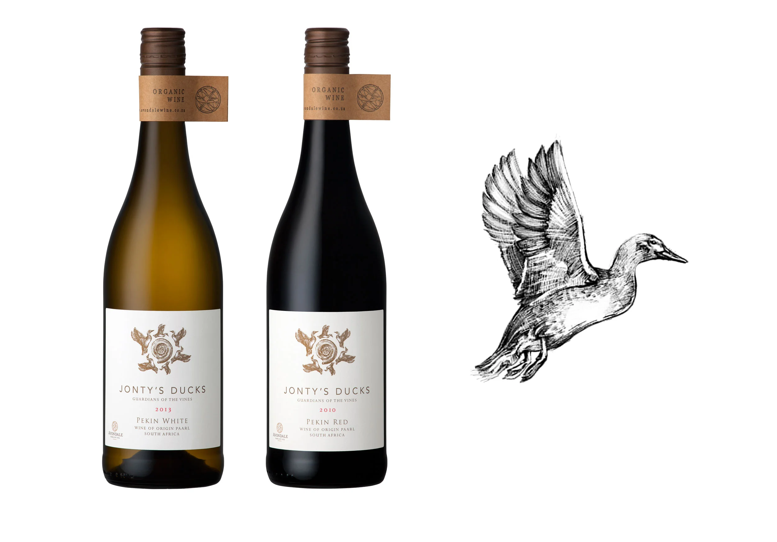 Avondale-Jontys-Ducks-Pekin-Red-2010-designed by Sumi Creative Co.jpg