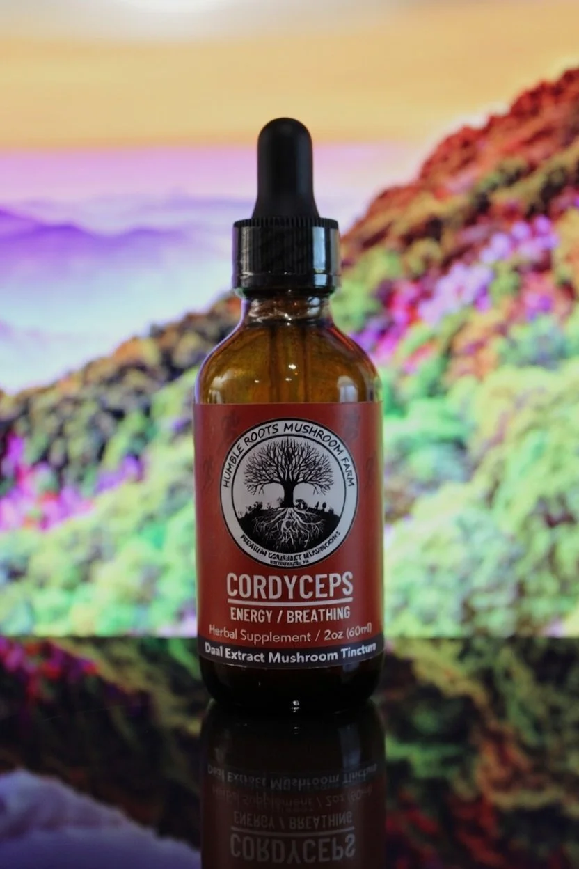 A brown glass bottle with a black dropper cap in front of a colorful, blurred landscape background, labeled as Cordyceps herbal supplement for energy and breathing.