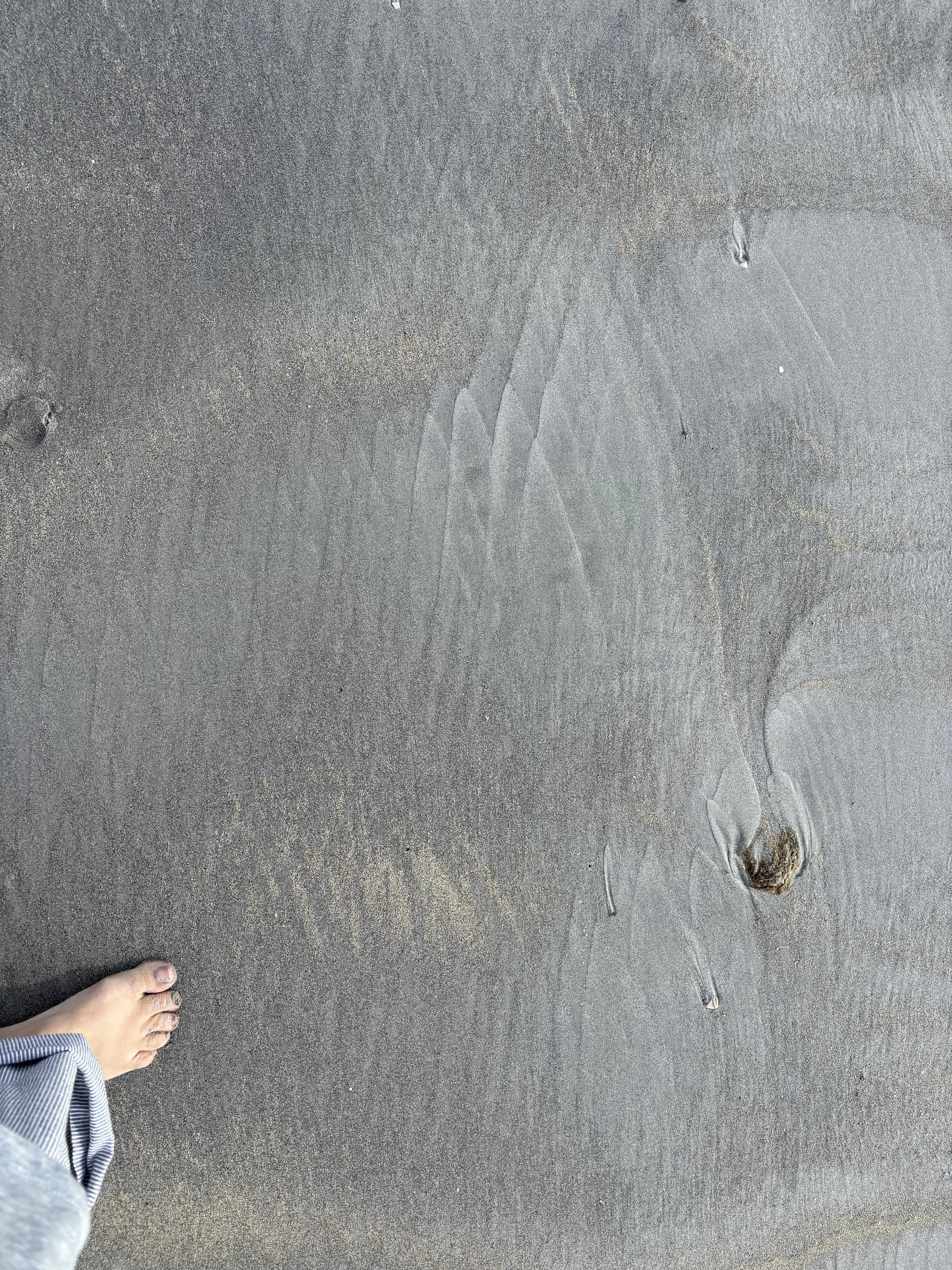 Day 259…feathered sand