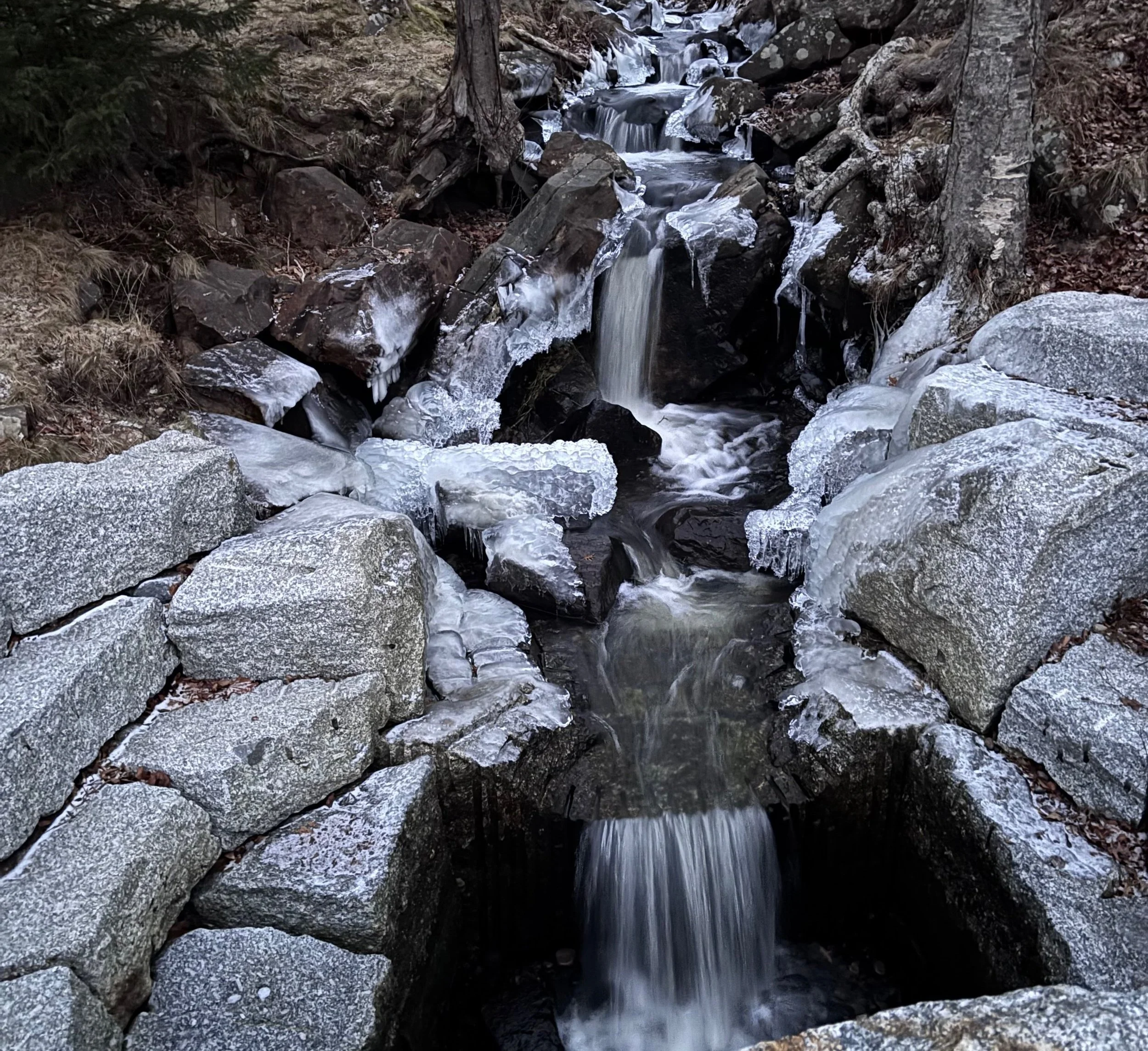 Day 47…a slow freeze