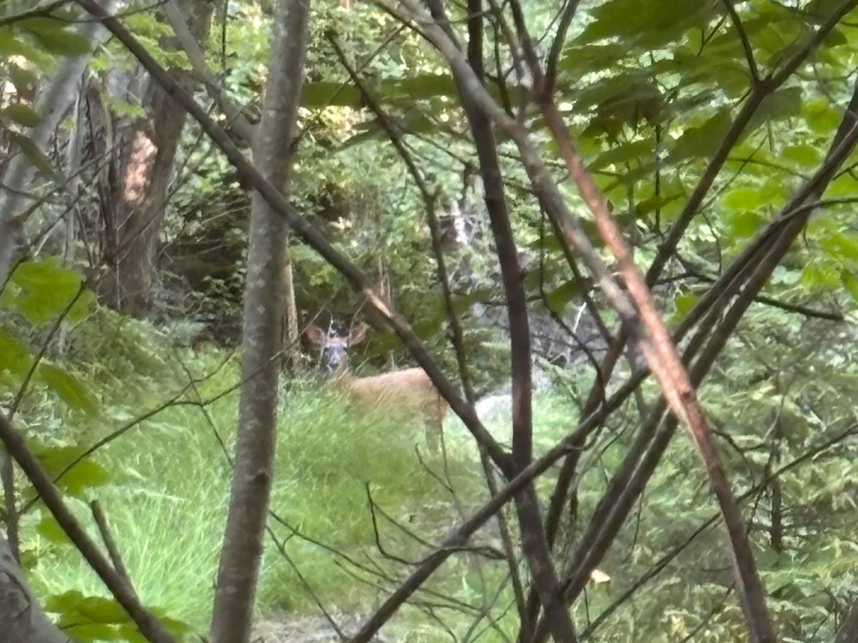 Day 237…I spy