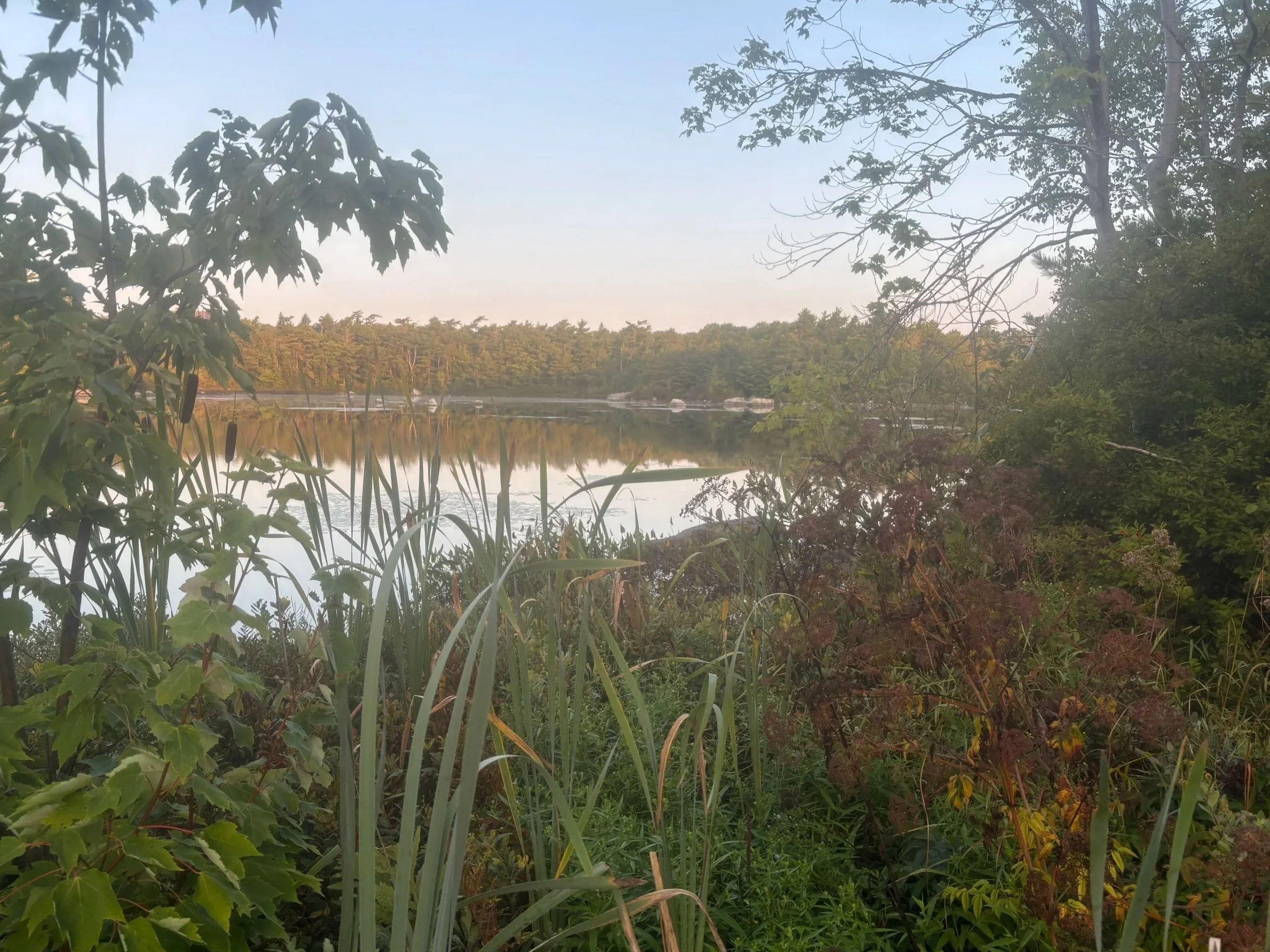 Day 297…the last glimpses of summer