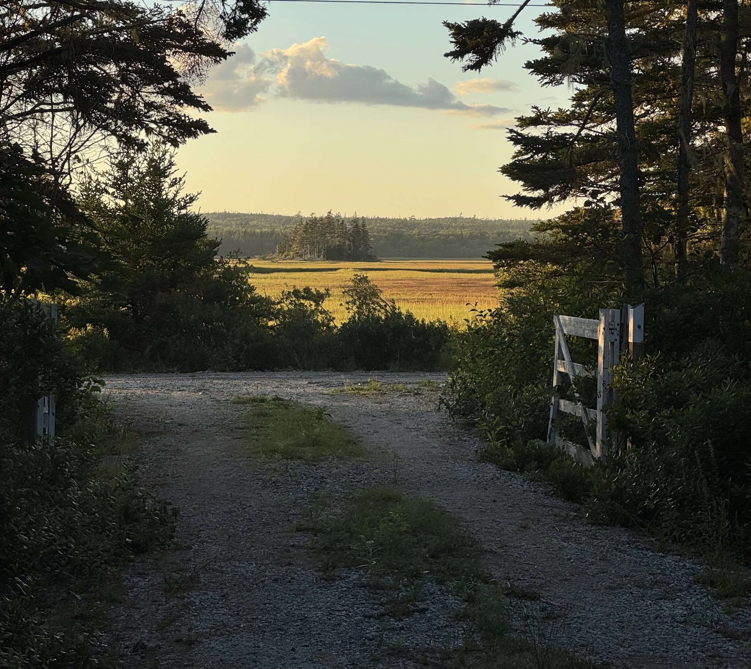 Day 278…August light