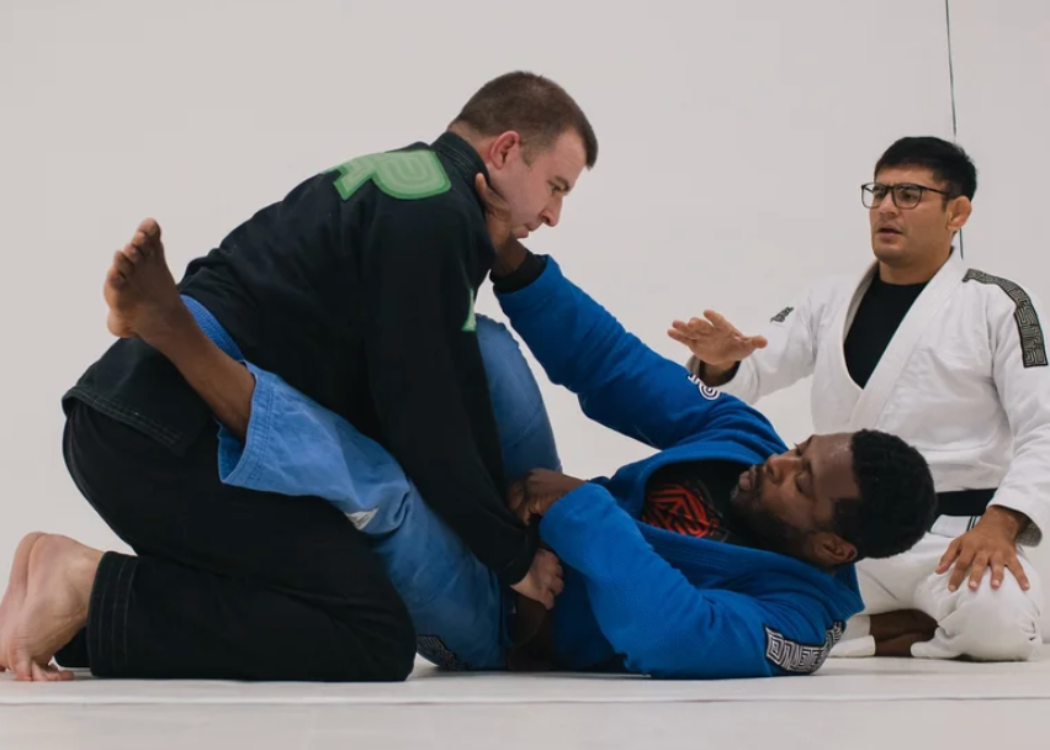 Brazilian Jiu-Jitsu vs. Karate, Taekwondo &amp; Muay Thai: Which Martial Art Is Best for You?