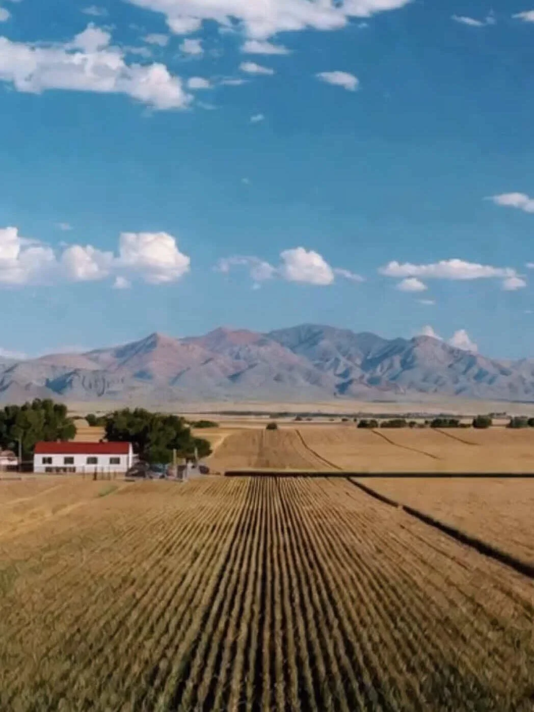 Last year, the federal government paid out $9.3 billion in farm subsidies, mostly to Midwest and Southern farms growing corn, soybeans, and cotton. Nevada farms receive a fraction of that: around $25 million annually in federal support. Nevada's appr