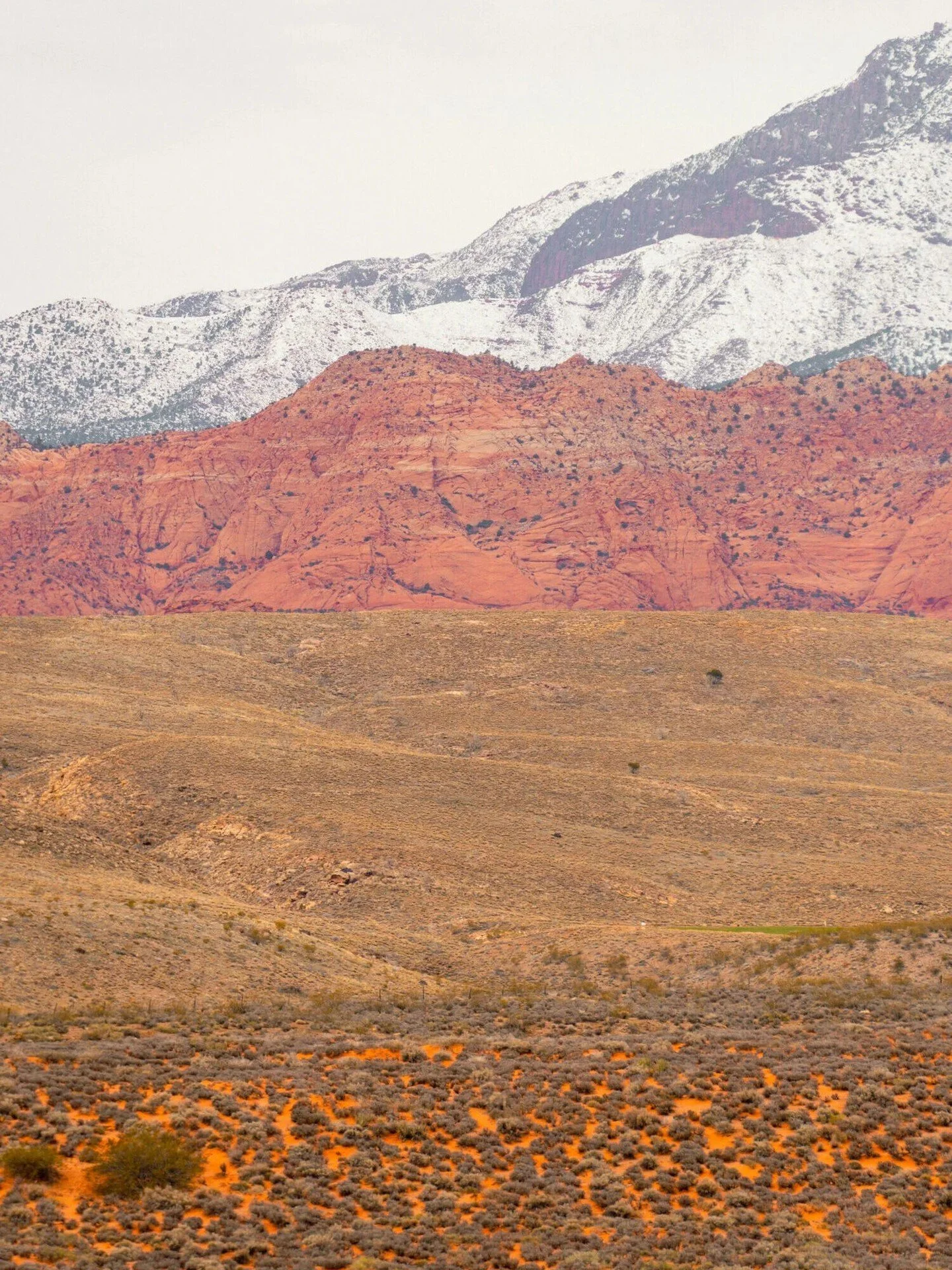 The federal government owns 85% of Nevada's land. Learn how and why: https://nevadapoliticaljournal.com/stories/nevada-land