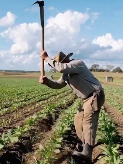 Nevada farms receive roughly $25 million per year in federal government subsidies: https://youtube.com/shorts/61J0sJNy7jQ?si=_pkyyG2pxgZmfMOZ via @YouTube @PoliticalNevada
