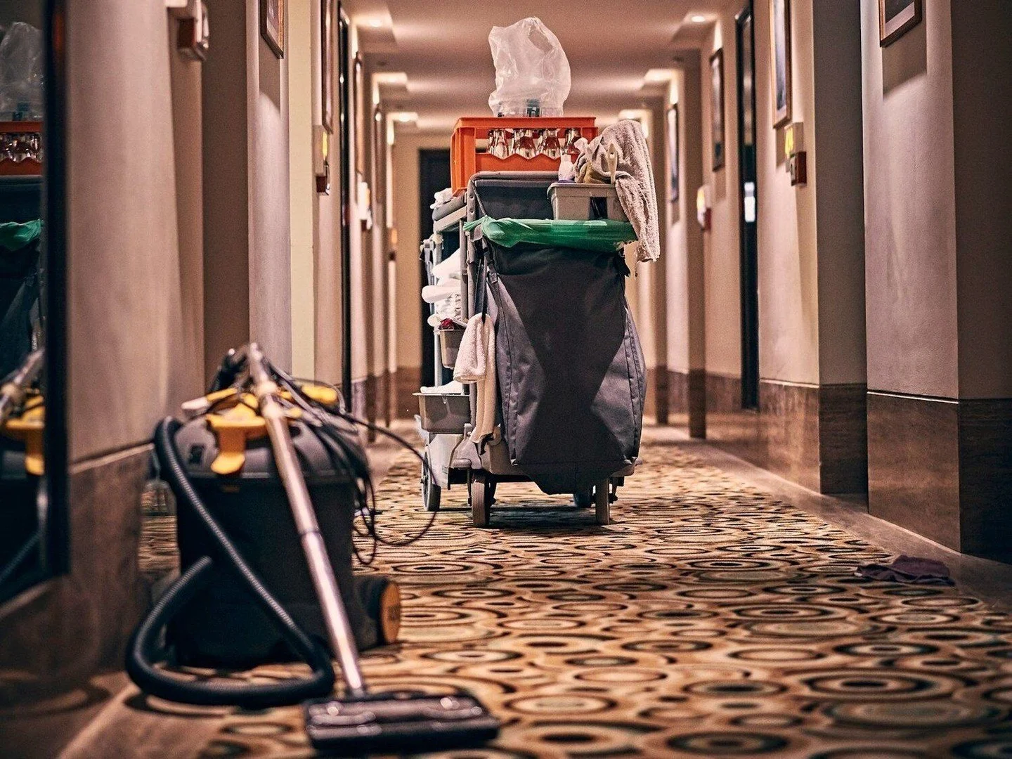 Labor union members form a highly mobilized voting bloc. Nevada has roughly 189,000 union members, which is ~13% of the state&rsquo;s workforce. In a state often decided by narrow margins, these members deliver strong turnout and grassroots energy th