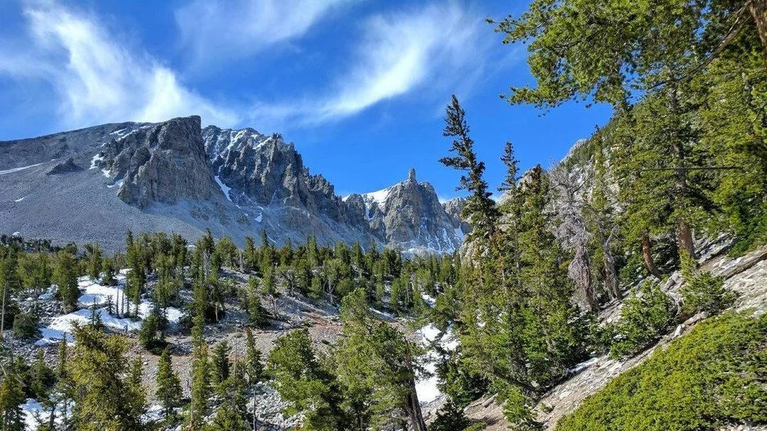 A Nevada trail in Great Basin National Park, the Bristlecone Pine Glacier Trail, has made National Geographic&rsquo;s 100 Hikes of a Lifetime list. It features 4,900-year-old bristlecone pines and Nevada's last surviving glacier below Wheeler Peak.


