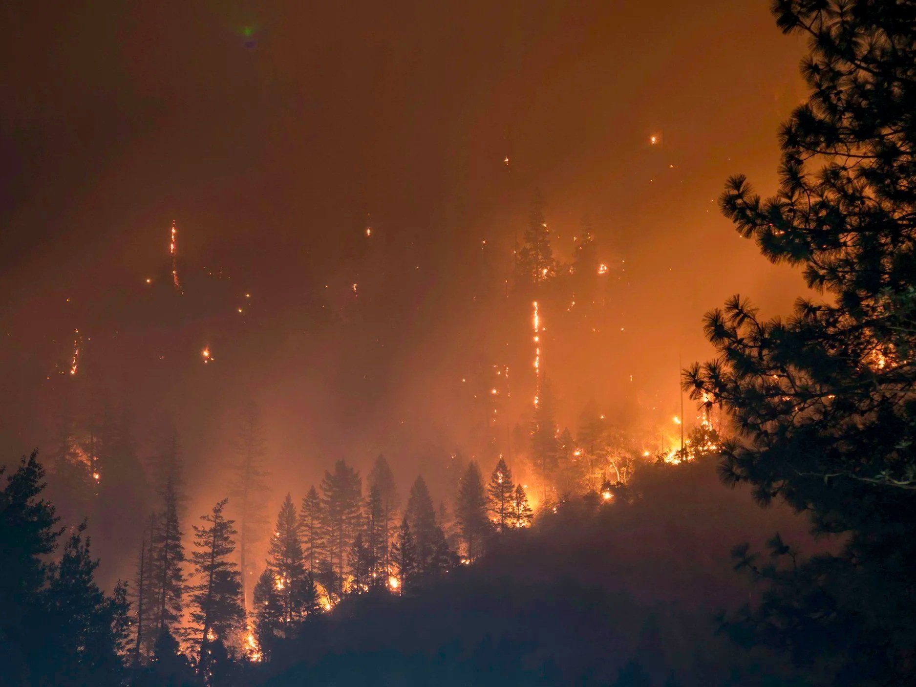 How Nevada Legislation Targets Wildfire Impacts