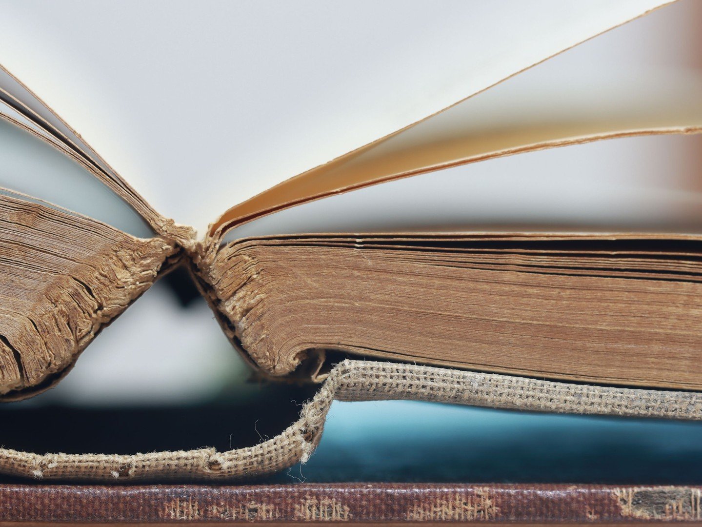 A rare book with a hidden tracker ended up at Amazon&rsquo;s Las Vegas warehouse. &ldquo;All we do is scan books,&rdquo; an employee said of the facility where workers cut spines off rare books and scan pages for AI training.

Src. https://www.tomsha