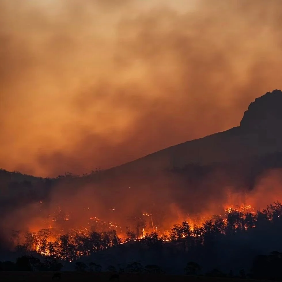 How Nevada Legislation Targets Wildfire Impacts &mdash; Nevada Political Journal https://www.nevadapoliticaljournal.com/legislation/nevada-wildfires-legislation