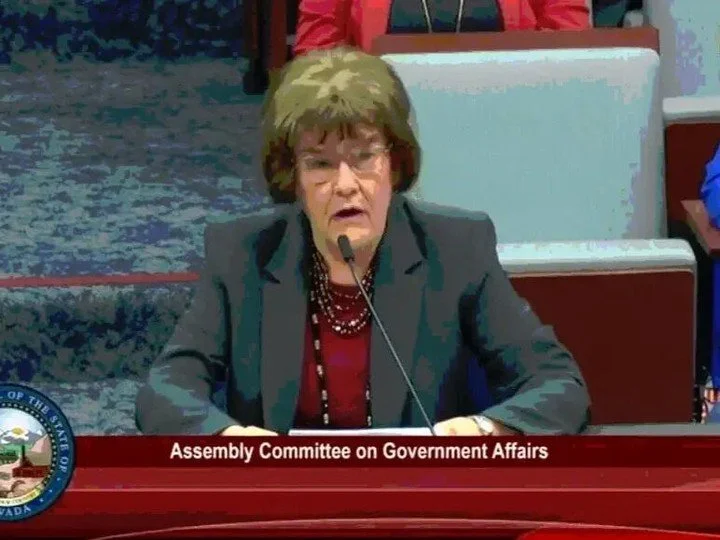 OPINION: Janine Hansen says she is Nevada&rsquo;s conservative watchdog. Republicans say she is how Jacky Rosen keeps the seat. https://www.nevadapoliticaljournal.com/opinion/janinehansen