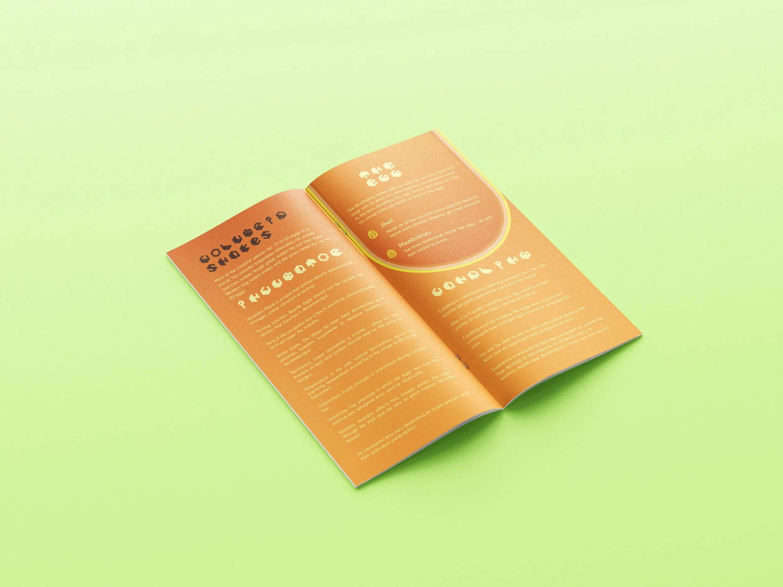 Free_DL_Stiched_Brochure_Mockup_3.jpg
