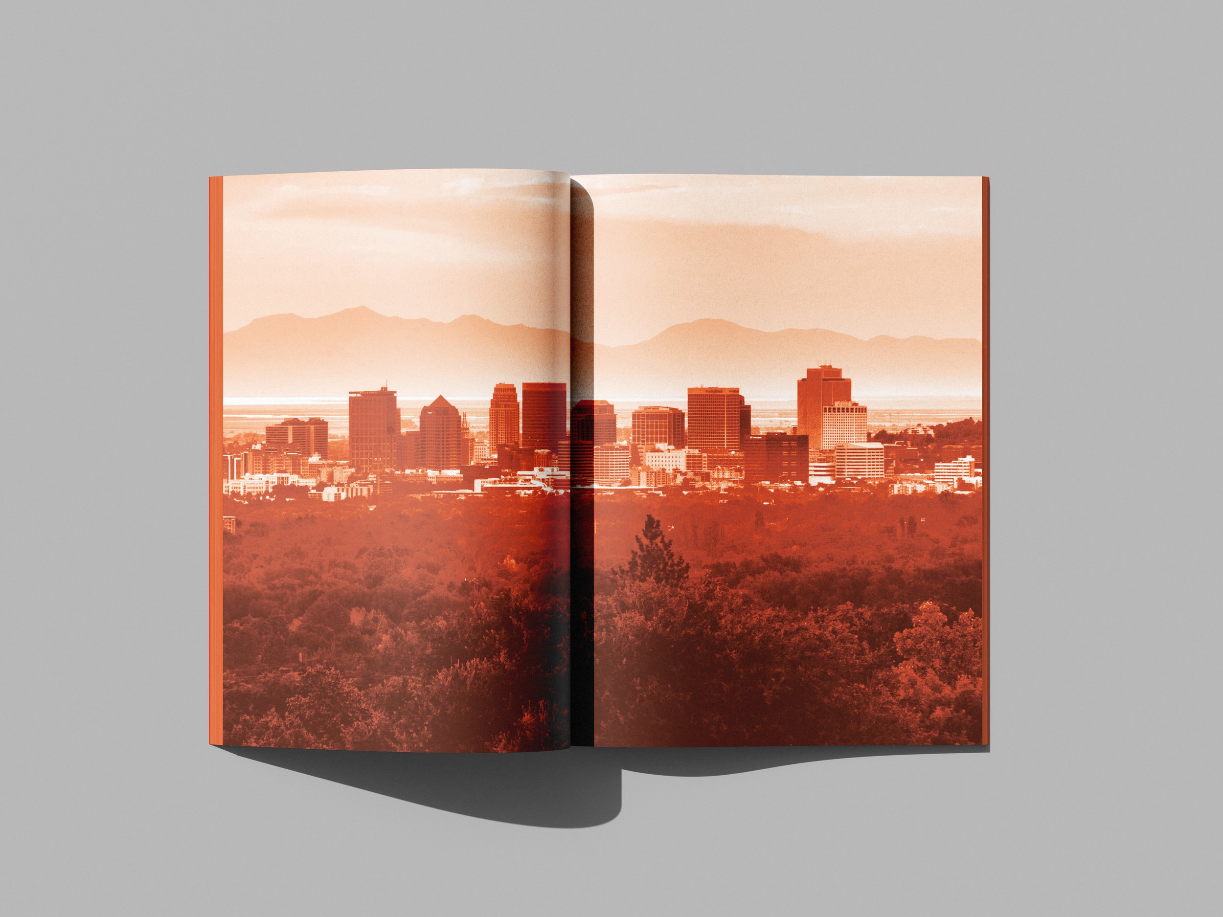 ATL_202520_GRDS_Yana Agapova_Hint Creative Book8.jpg