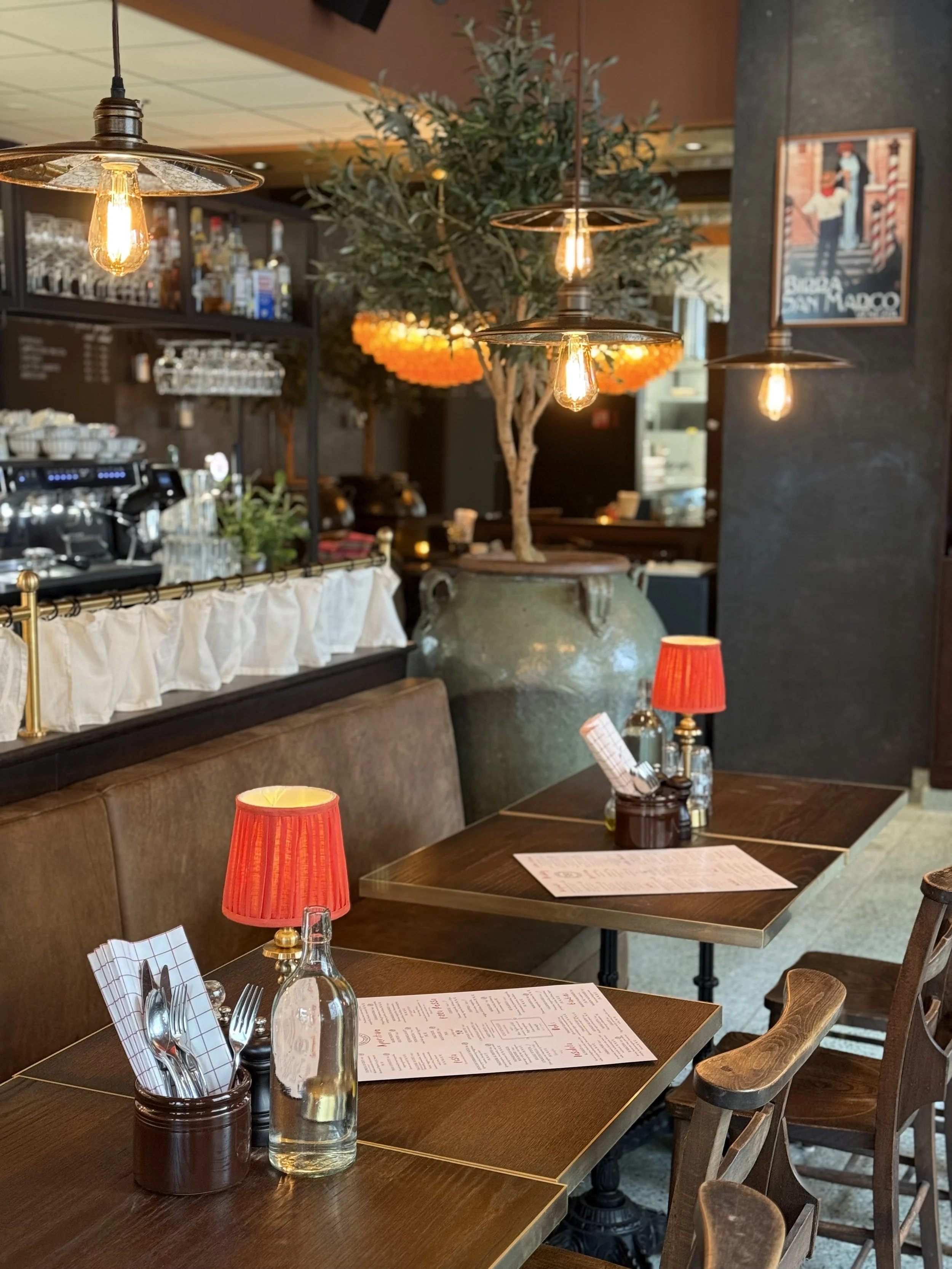 CiCi Tollgaarden1.jpeg