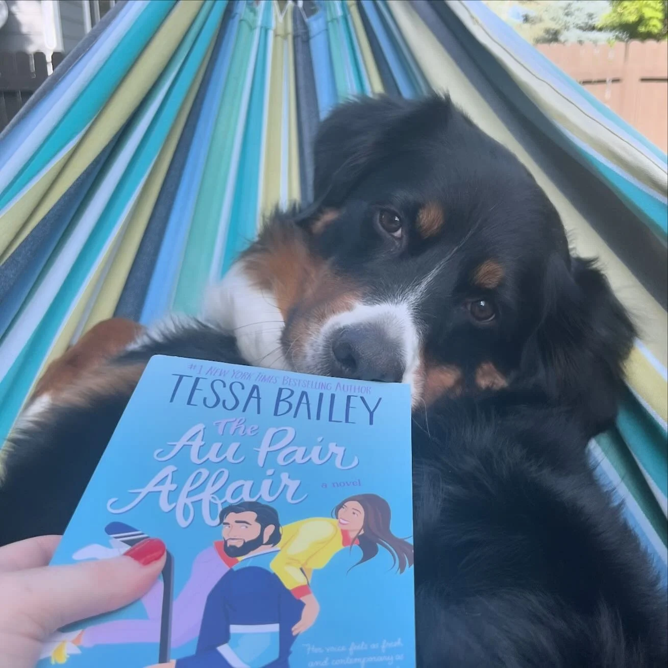 Happy Labor Day from Zuzu &amp; me 👋 #bernesemountaindog #dogsofinstagram #outdoorreading #readingtime #bookstagram #tessabailey #labordayweekend #hammocklife