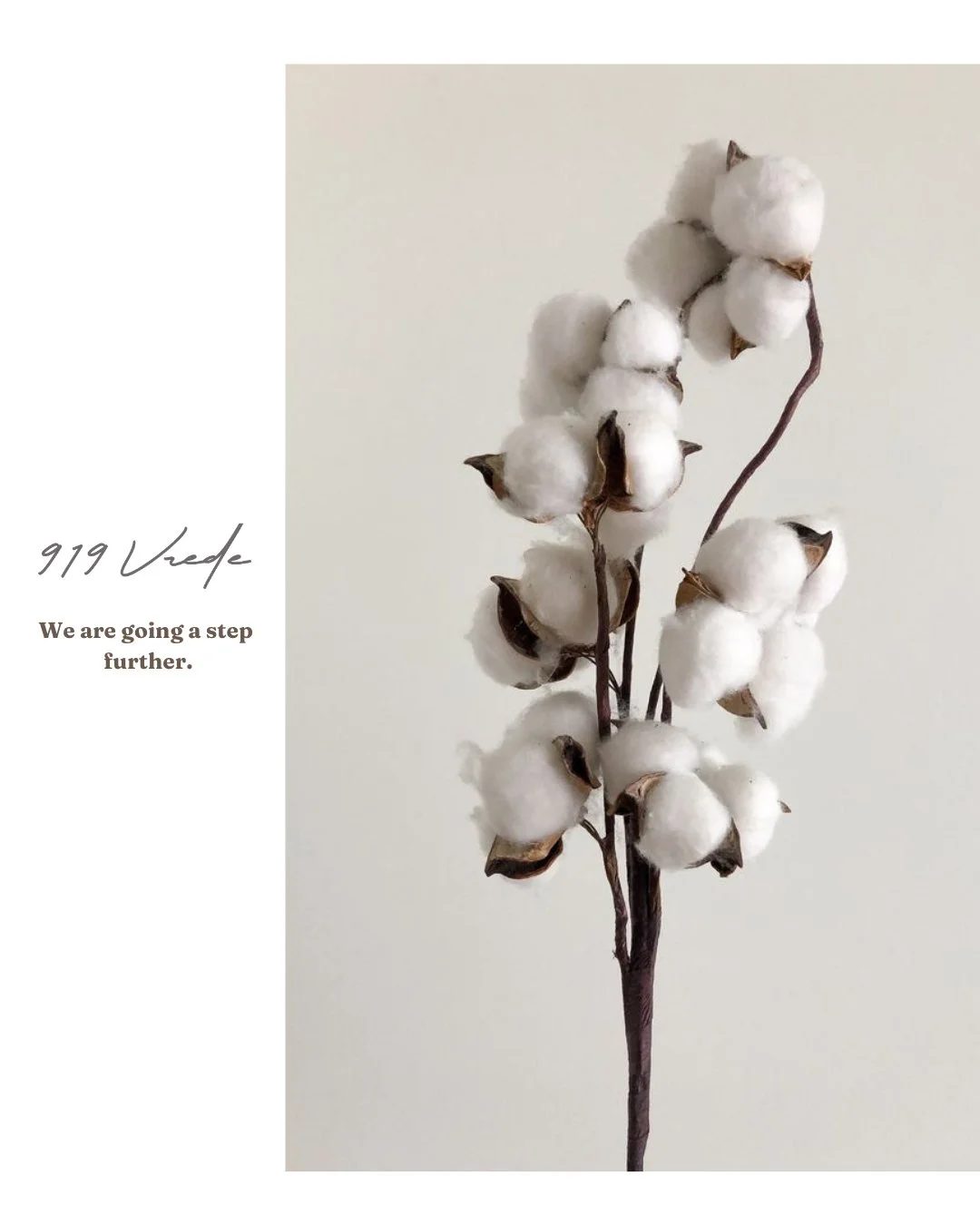 Regenerative Cotton: A Step Further