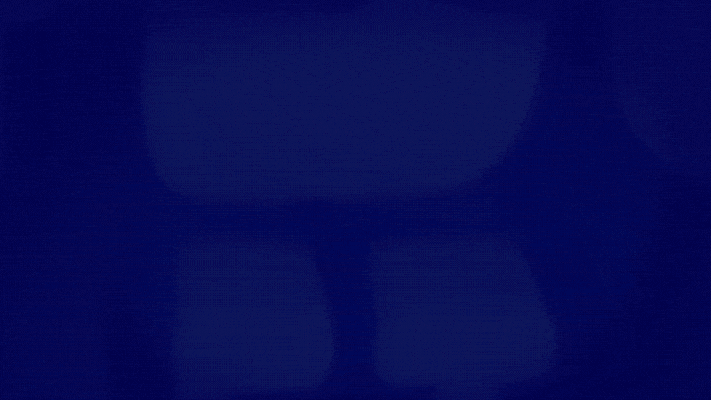 FLORIDA_FRONTEND.gif