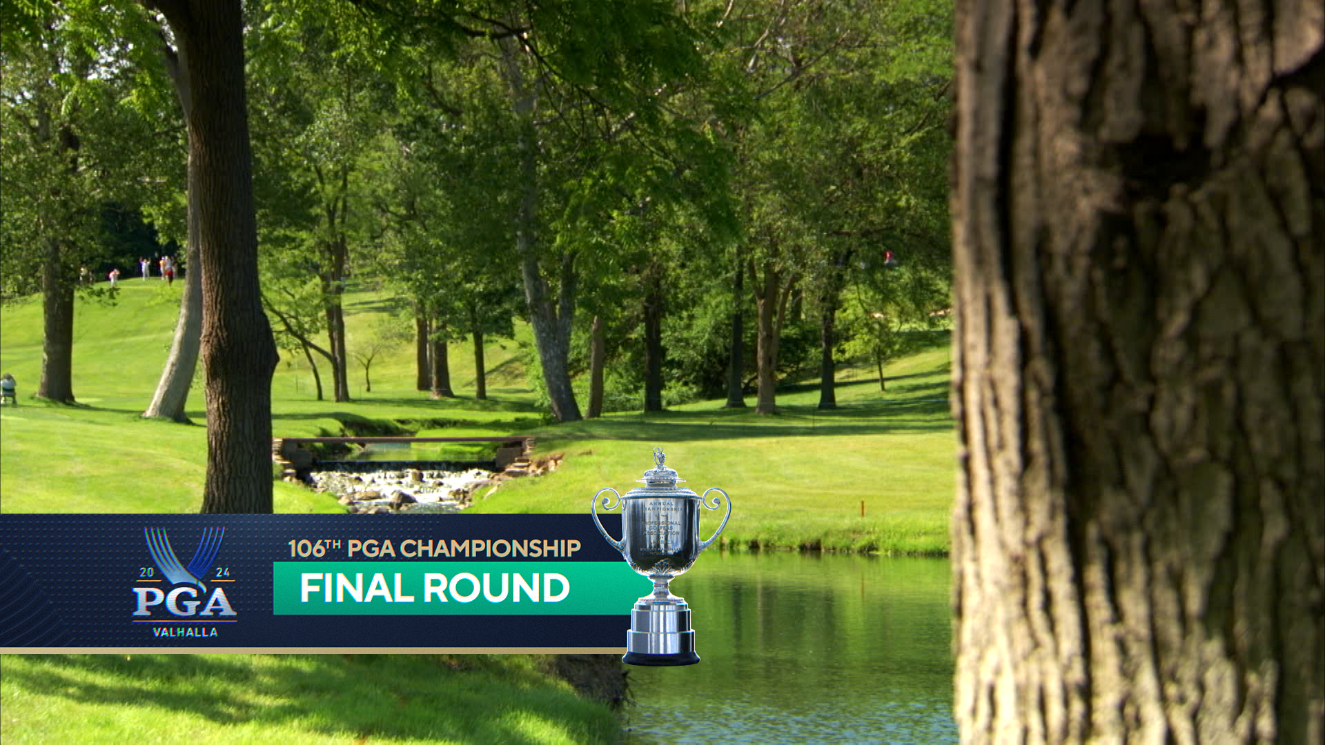 FINAL ROUND.png