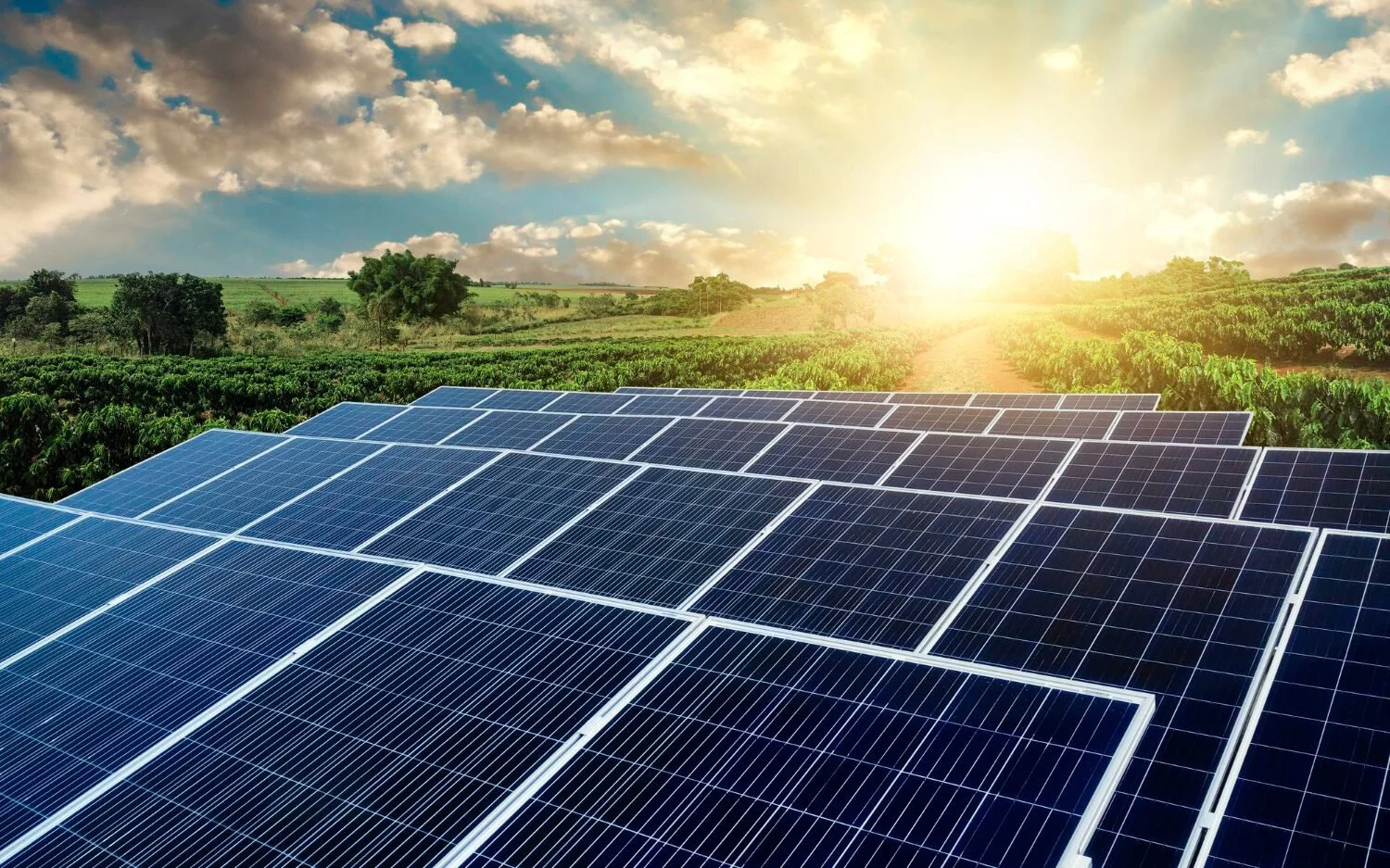 sunset-solar-energy-farm-plant-edited.jpg