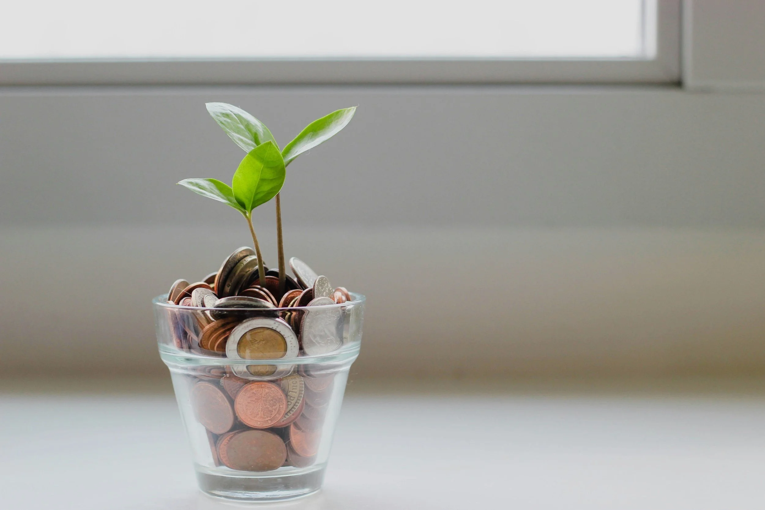 Cup holding coins and a plant growing out of them.