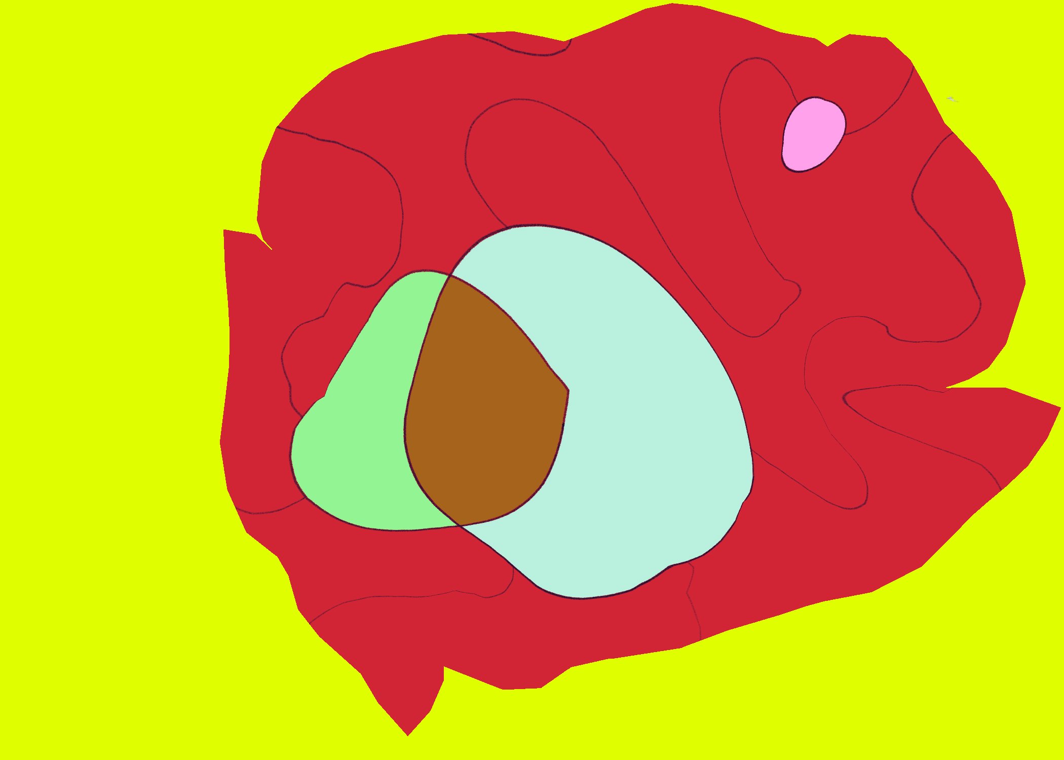 Untitled - January 1, 2026 13.44.jpeg