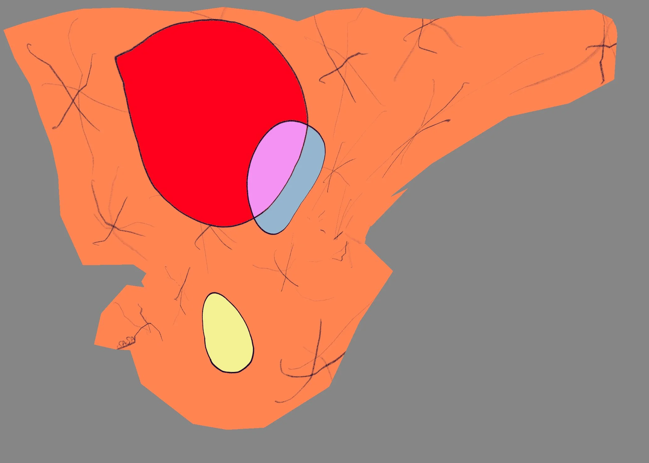 66 Untitled - January 11, 2026 13.11.jpeg