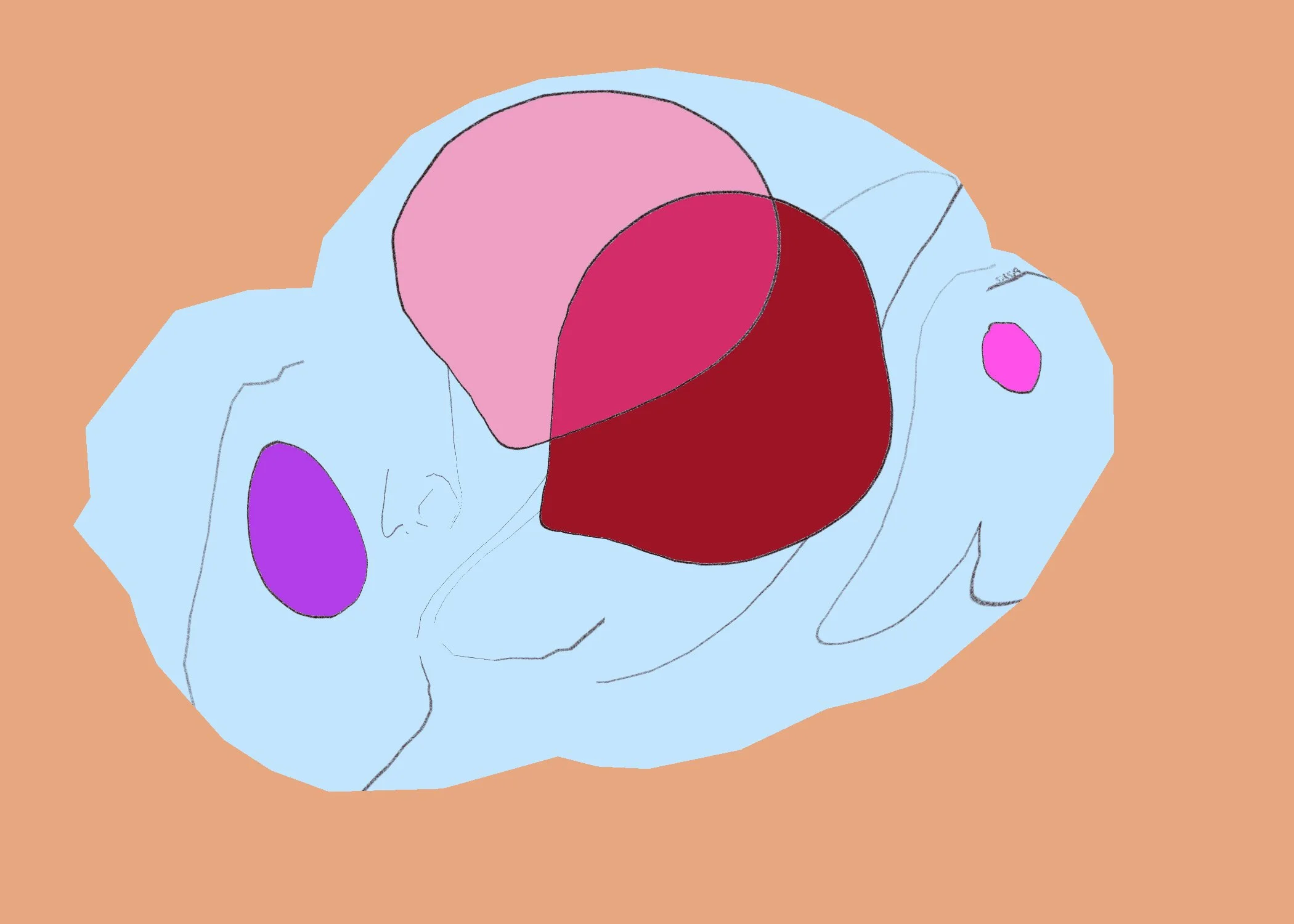 75 Untitled - January 11, 2026 13.42.jpeg